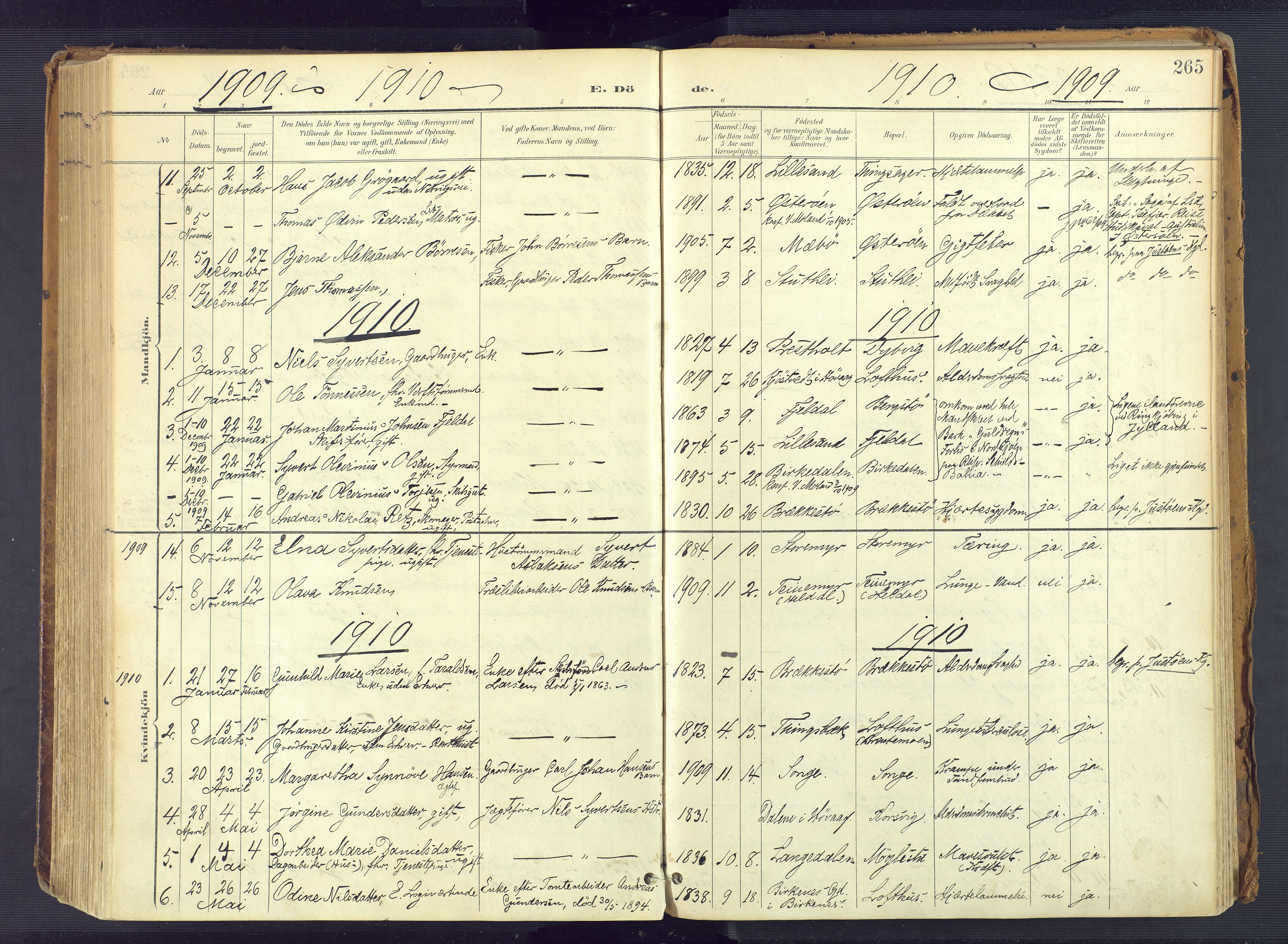 Vestre Moland sokneprestkontor, AV/SAK-1111-0046/F/Fa/Fab/L0010: Parish register (official) no. A 10, 1900-1926, p. 265