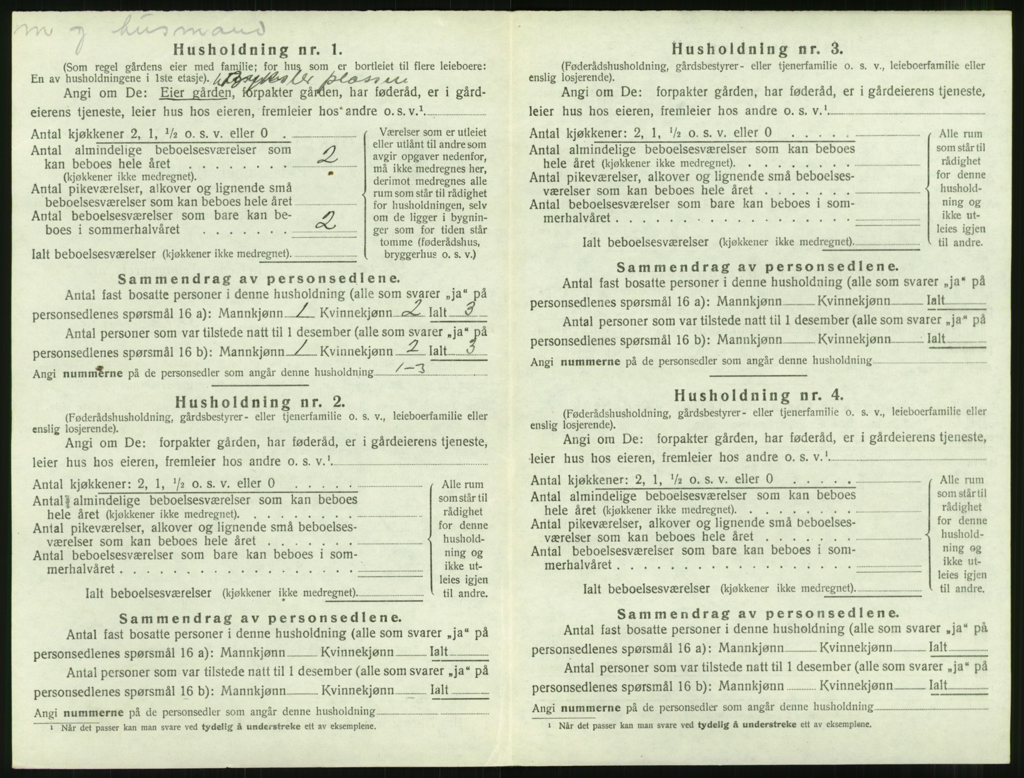 SAT, 1920 census for Nesset, 1920, p. 505