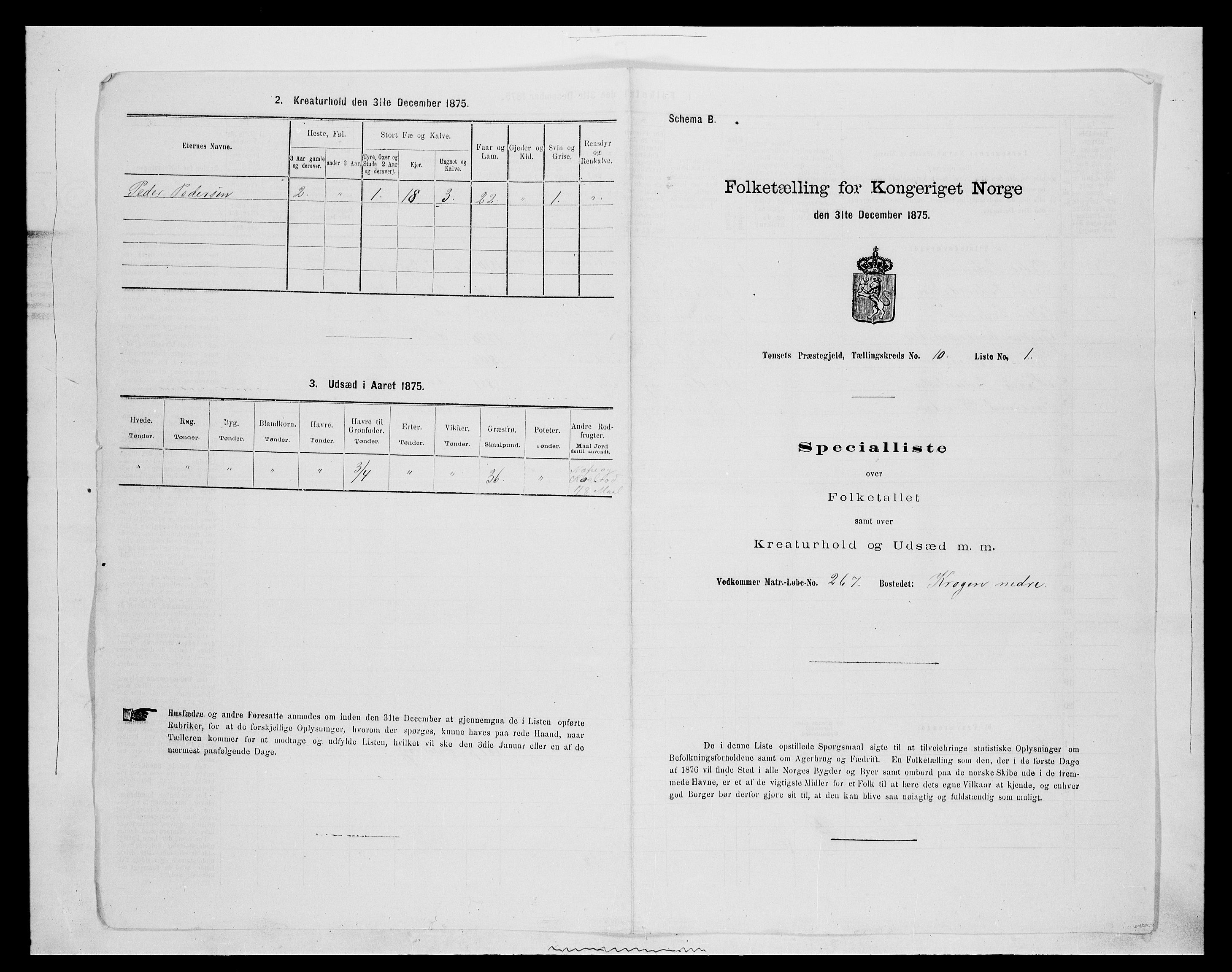 SAH, 1875 census for 0437P Tynset, 1875, p. 964