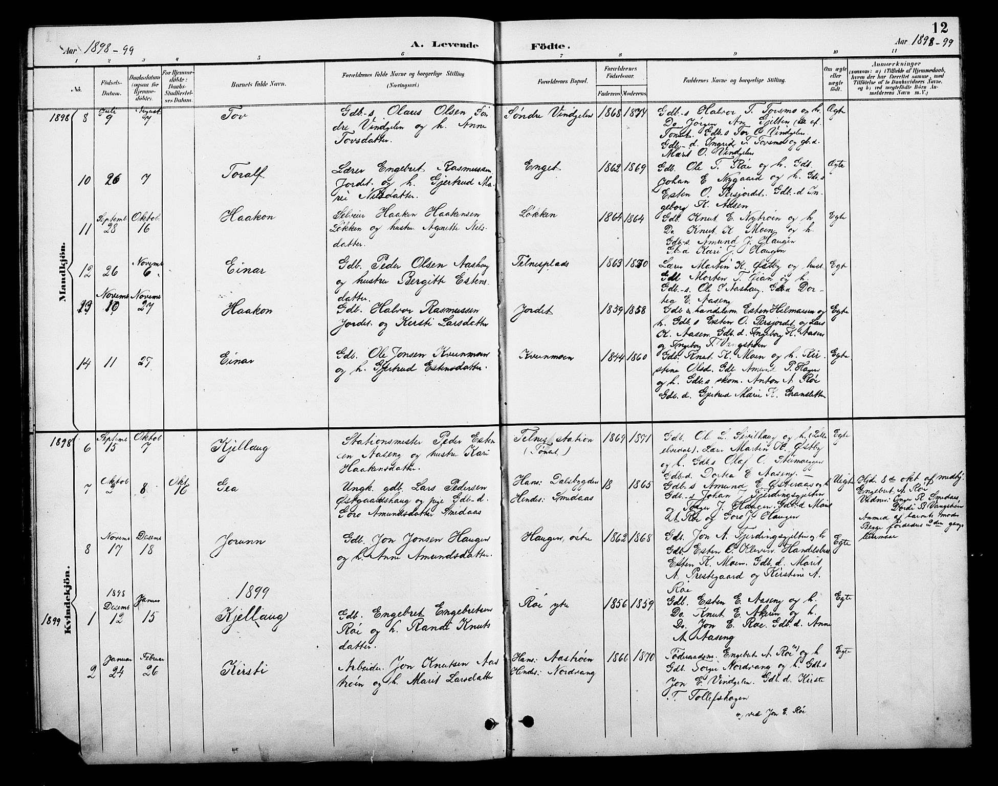 Tolga prestekontor, SAH/PREST-062/L/L0010: Parish register (copy) no. 10, 1894-1918, p. 12