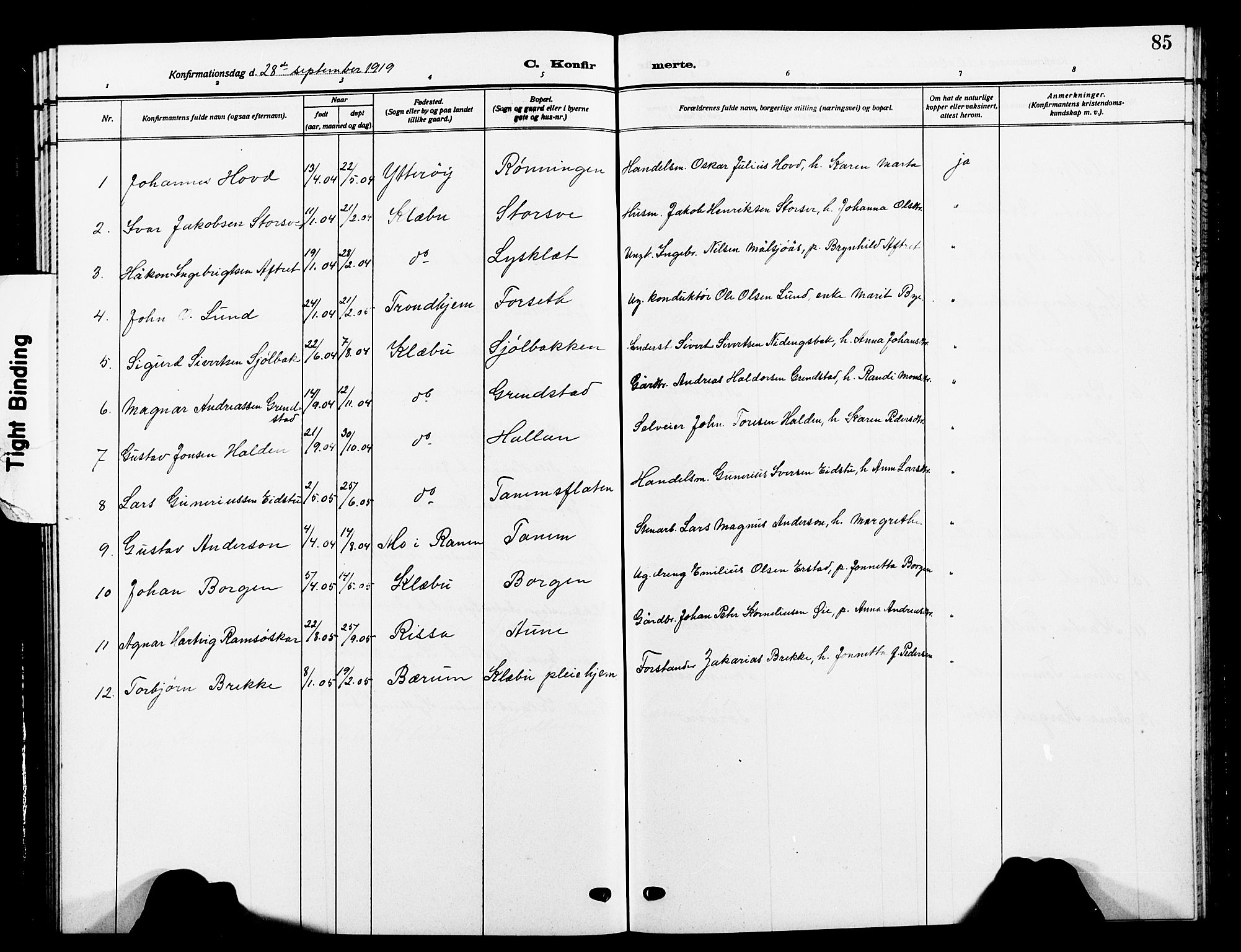 Ministerialprotokoller, klokkerbøker og fødselsregistre - Sør-Trøndelag, SAT/A-1456/618/L0453: Parish register (copy) no. 618C04, 1907-1925, p. 85