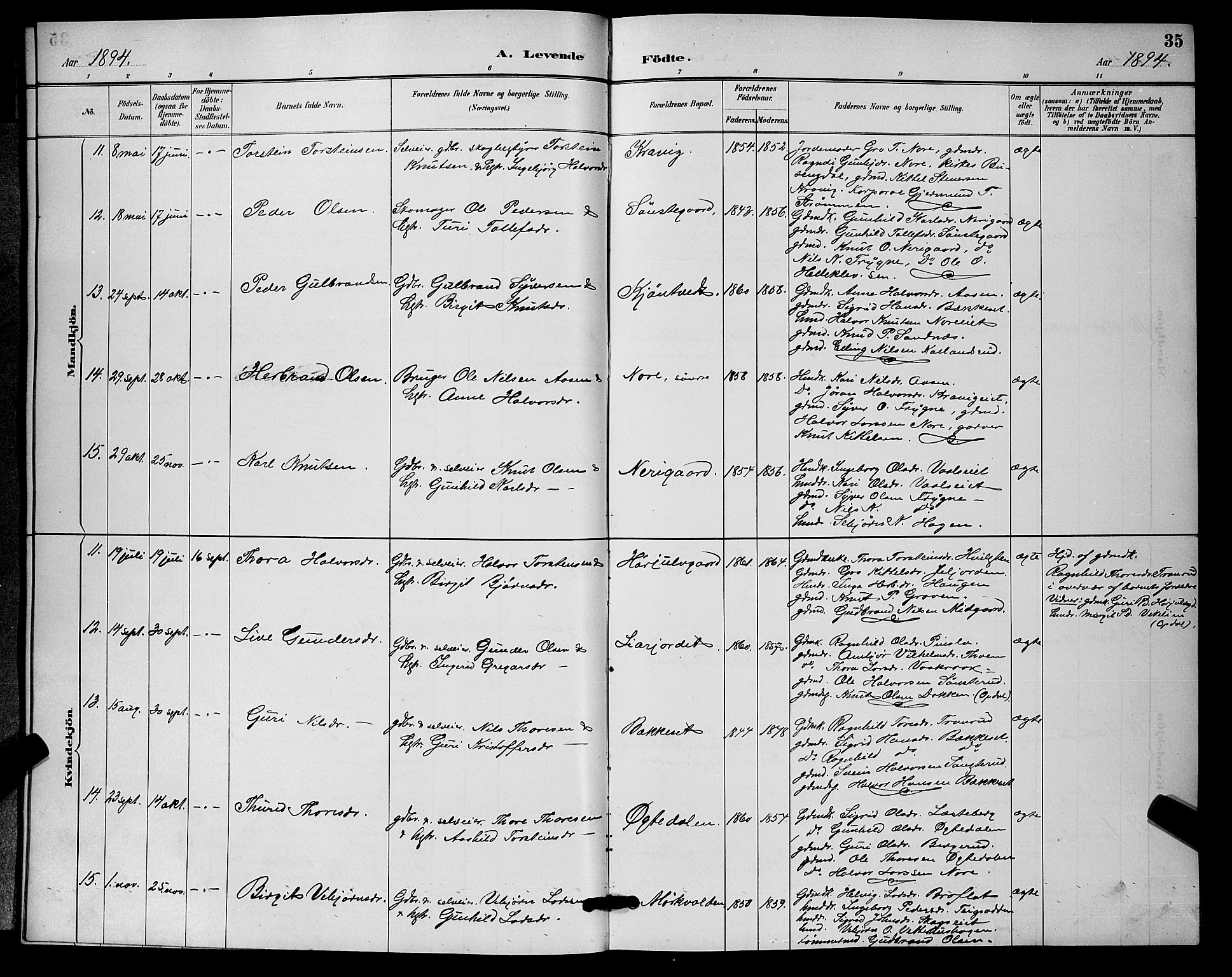 Nore kirkebøker, SAKO/A-238/G/Ga/L0003: Parish register (copy) no. I 3, 1886-1903, p. 35