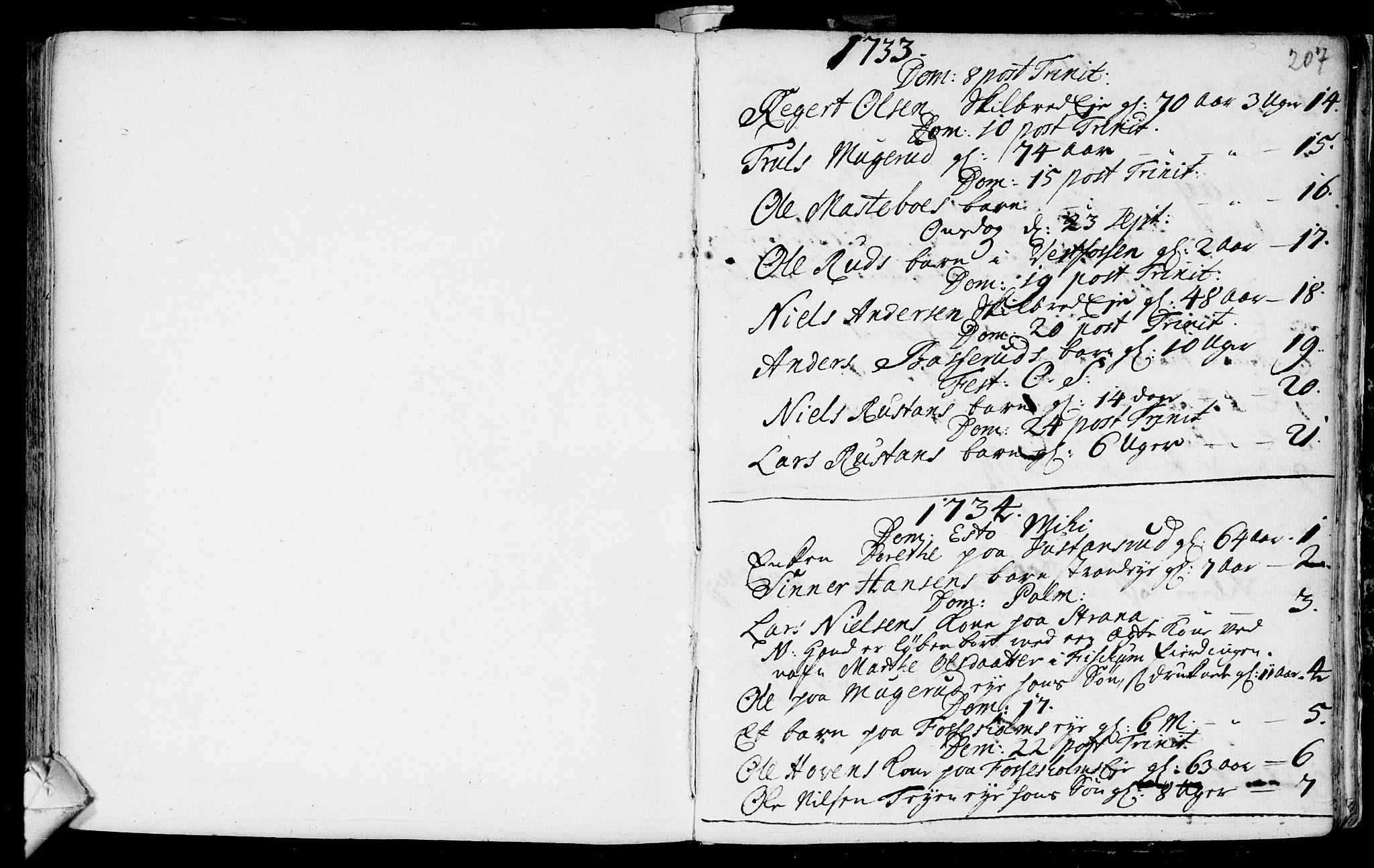 Eiker kirkebøker, SAKO/A-4/F/Fa/L0007: Parish register (official) no. I 7 /2, 1733-1808, p. 207