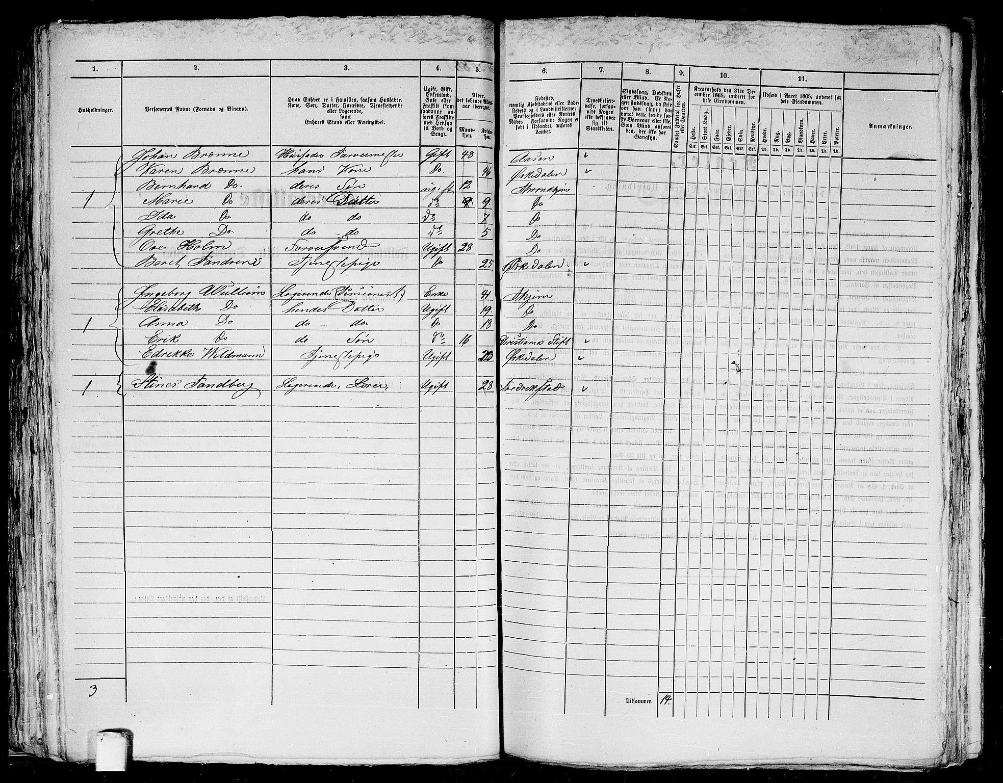 RA, 1865 census for Trondheim, 1865, p. 212