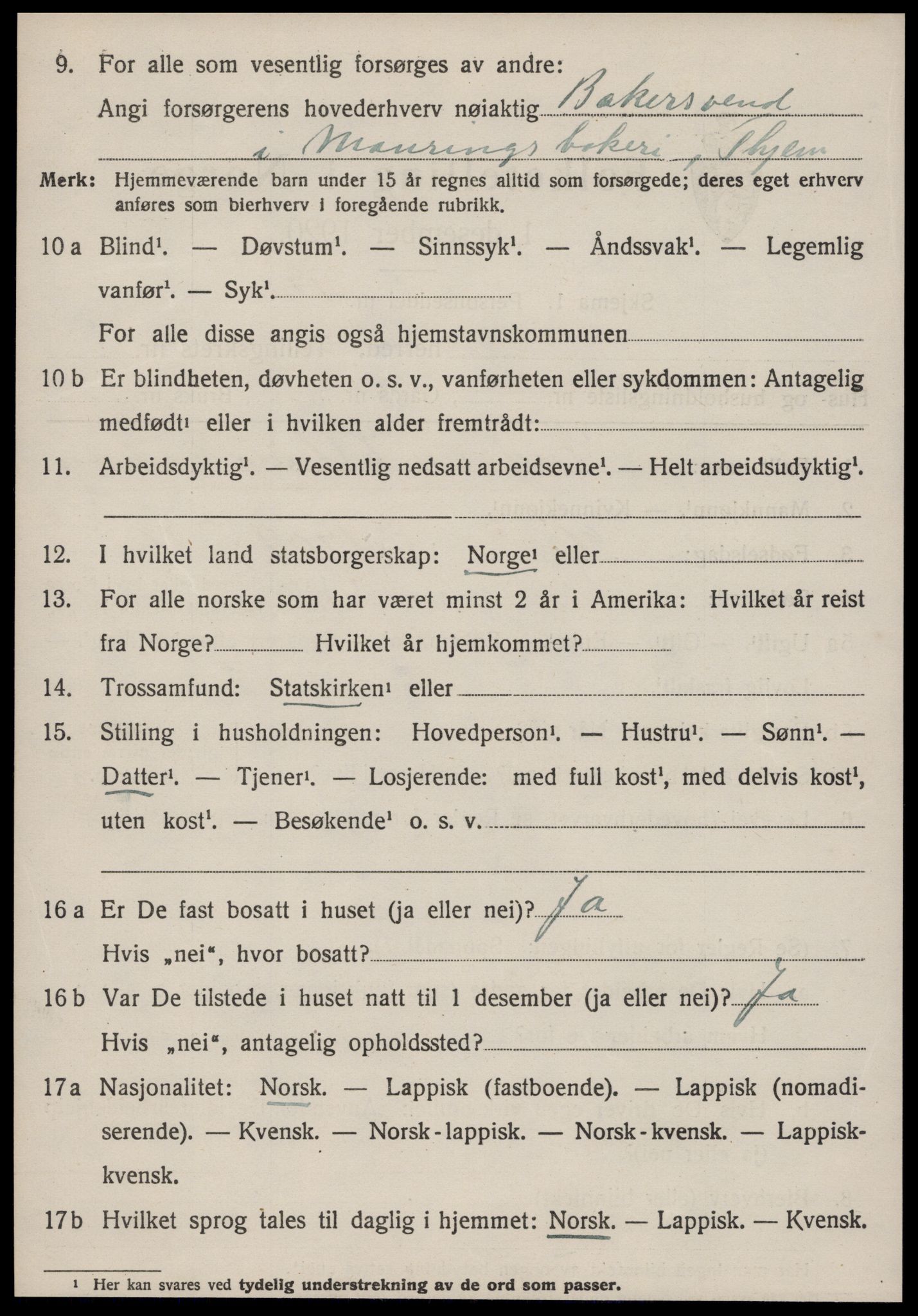 SAT, 1920 census for Strinda, 1920, p. 17575