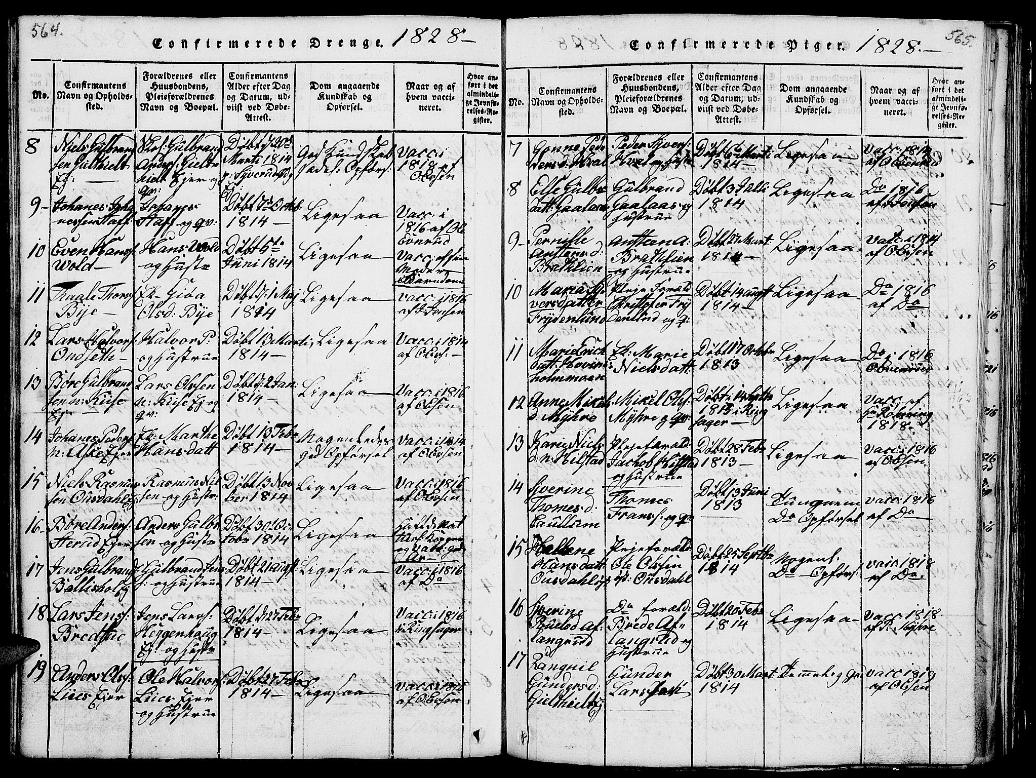 Nes prestekontor, Hedmark, SAH/PREST-020/L/La/L0003: Parish register (copy) no. 3, 1814-1831, p. 564-565