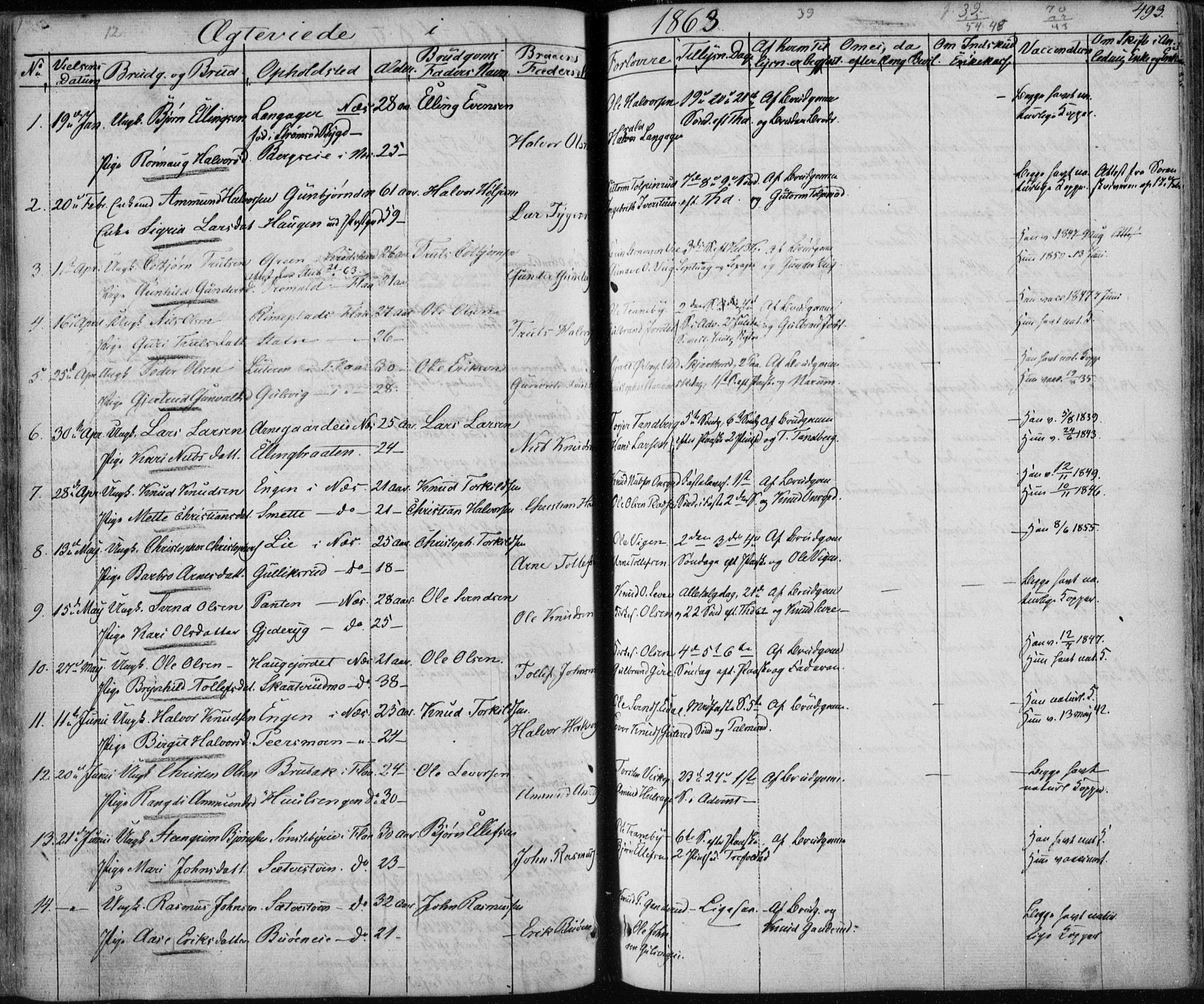 Nes kirkebøker, AV/SAKO-A-236/F/Fa/L0009: Parish register (official) no. 9, 1834-1863, p. 493