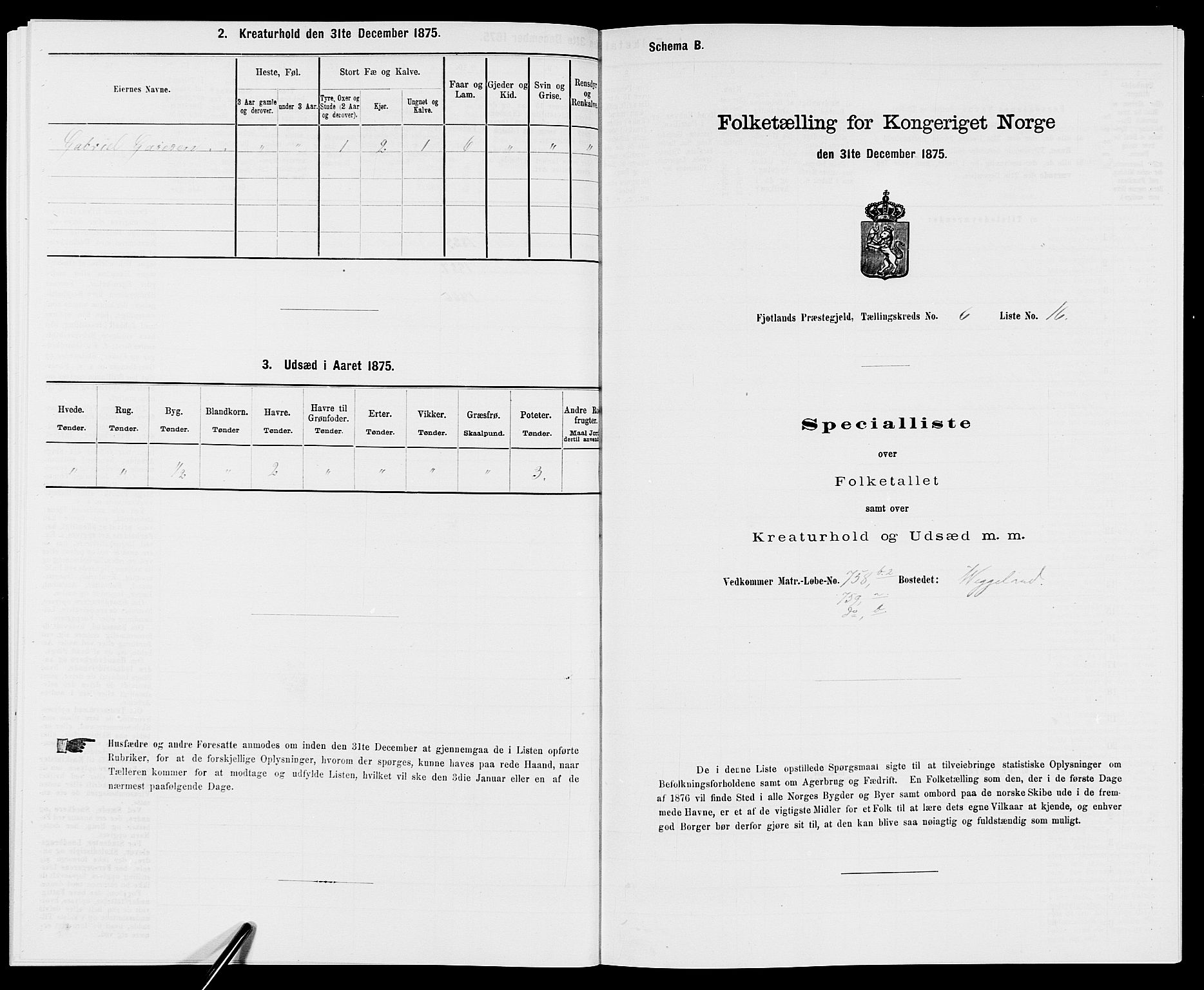 SAK, 1875 census for 1036P Fjotland, 1875, p. 381