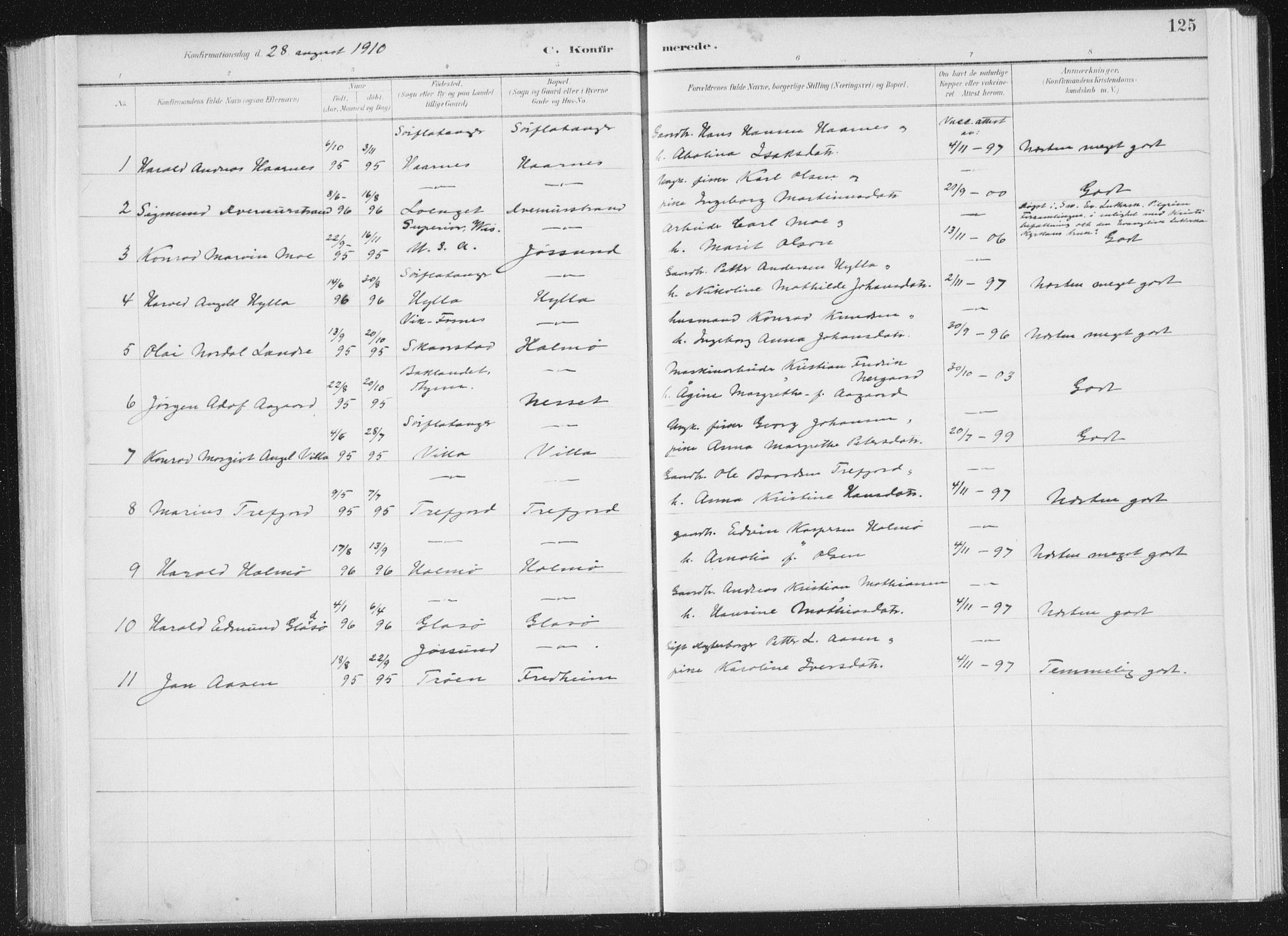 Ministerialprotokoller, klokkerbøker og fødselsregistre - Nord-Trøndelag, SAT/A-1458/771/L0597: Parish register (official) no. 771A04, 1885-1910, p. 125