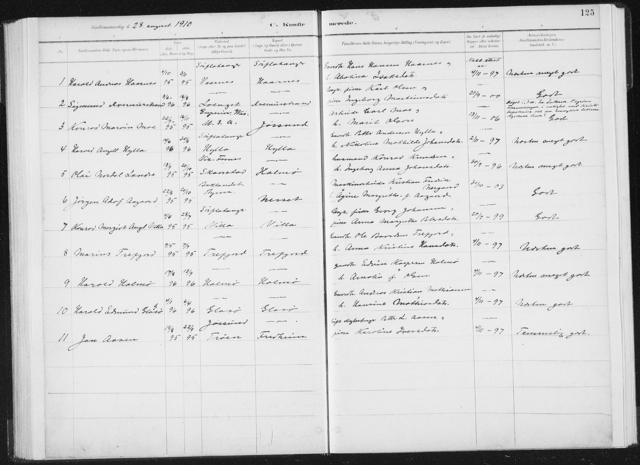 Ministerialprotokoller, klokkerbøker og fødselsregistre - Nord-Trøndelag, AV/SAT-A-1458/771/L0597: Parish register (official) no. 771A04, 1885-1910, p. 125