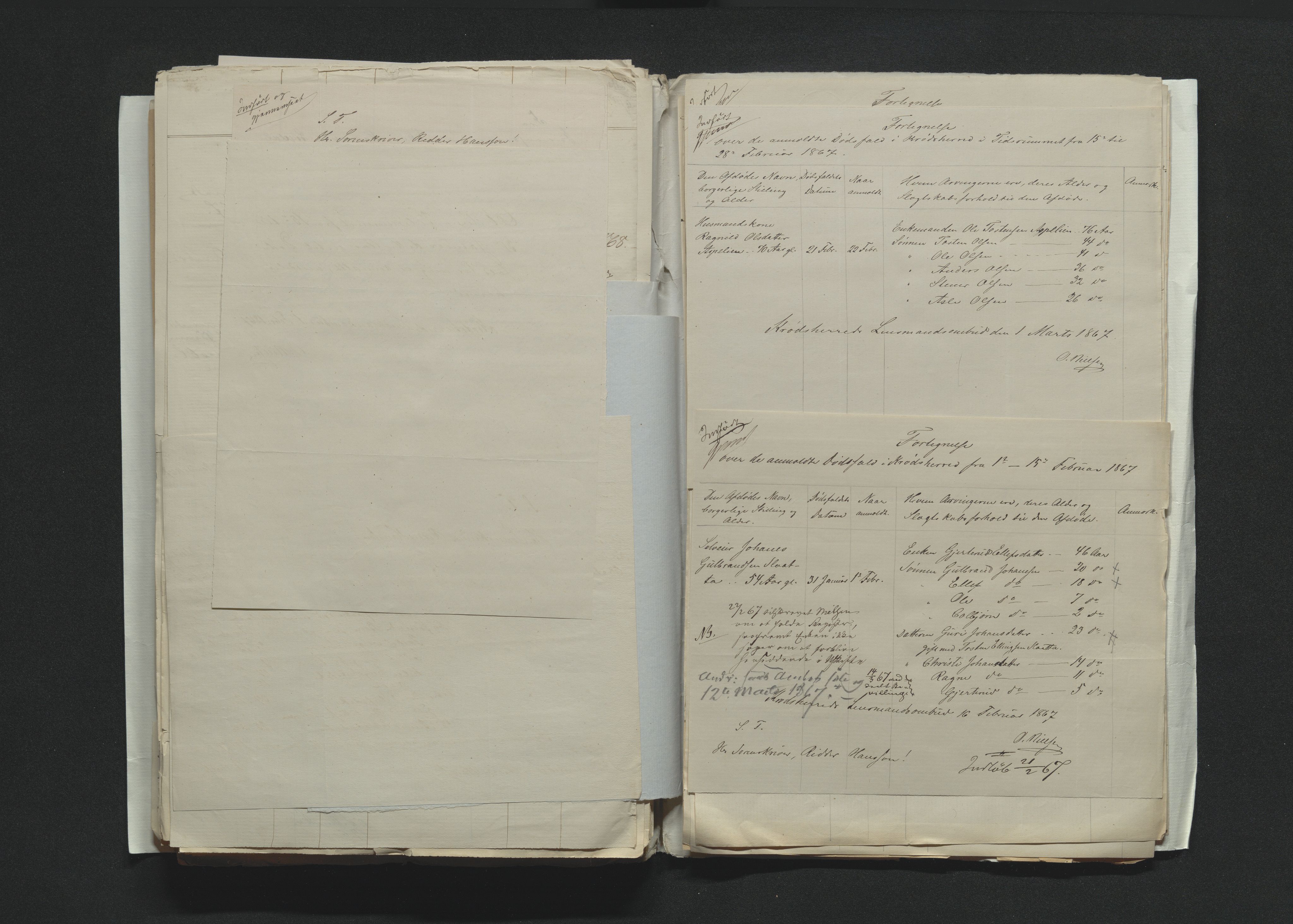 Eiker, Modum og Sigdal sorenskriveri, AV/SAKO-A-123/H/Ha/Hab/L0012: Dødsfallsmeldinger, 1866-1869, p. 315