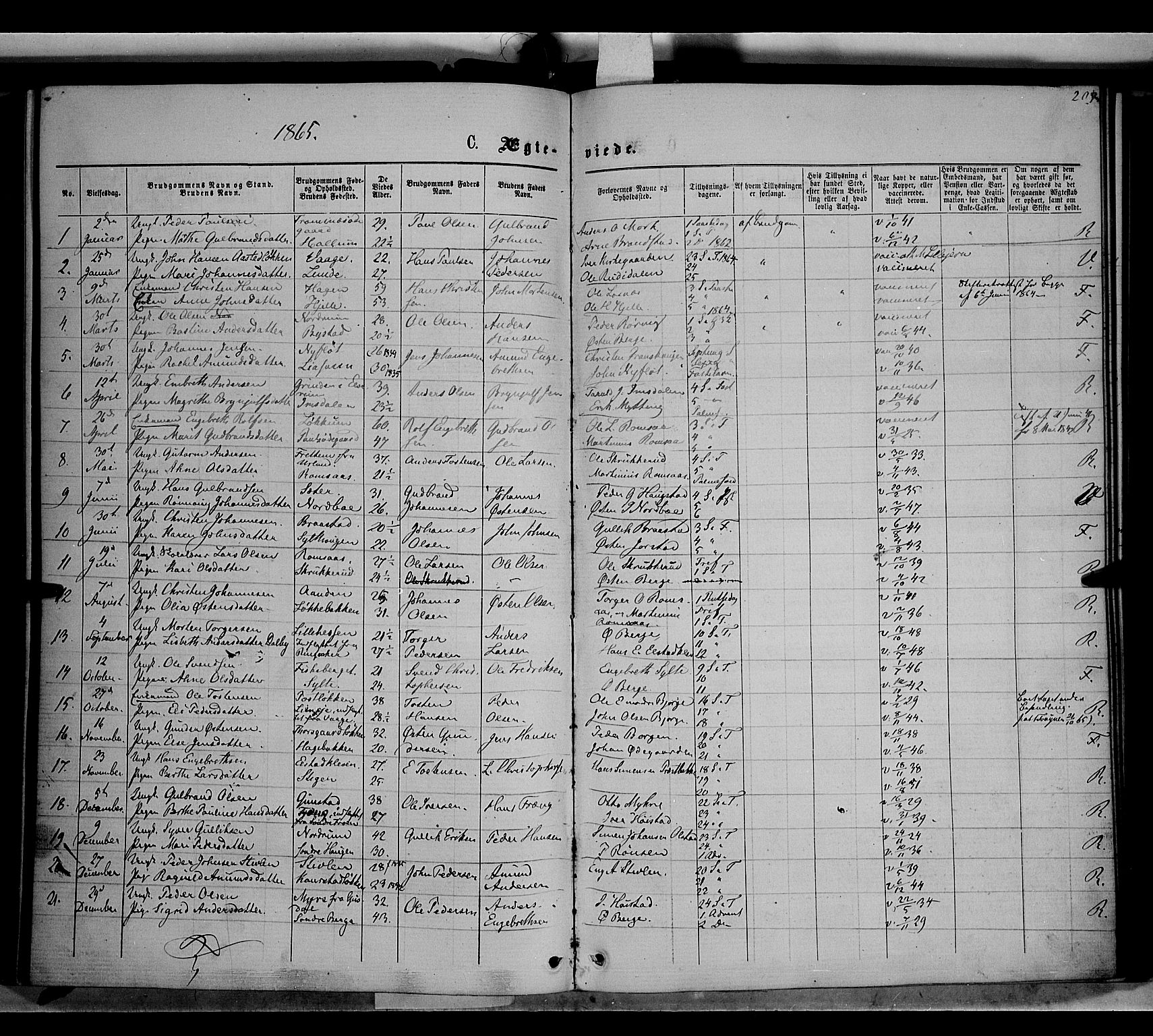 Ringebu prestekontor, AV/SAH-PREST-082/H/Ha/Haa/L0007: Parish register (official) no. 7, 1860-1877, p. 209