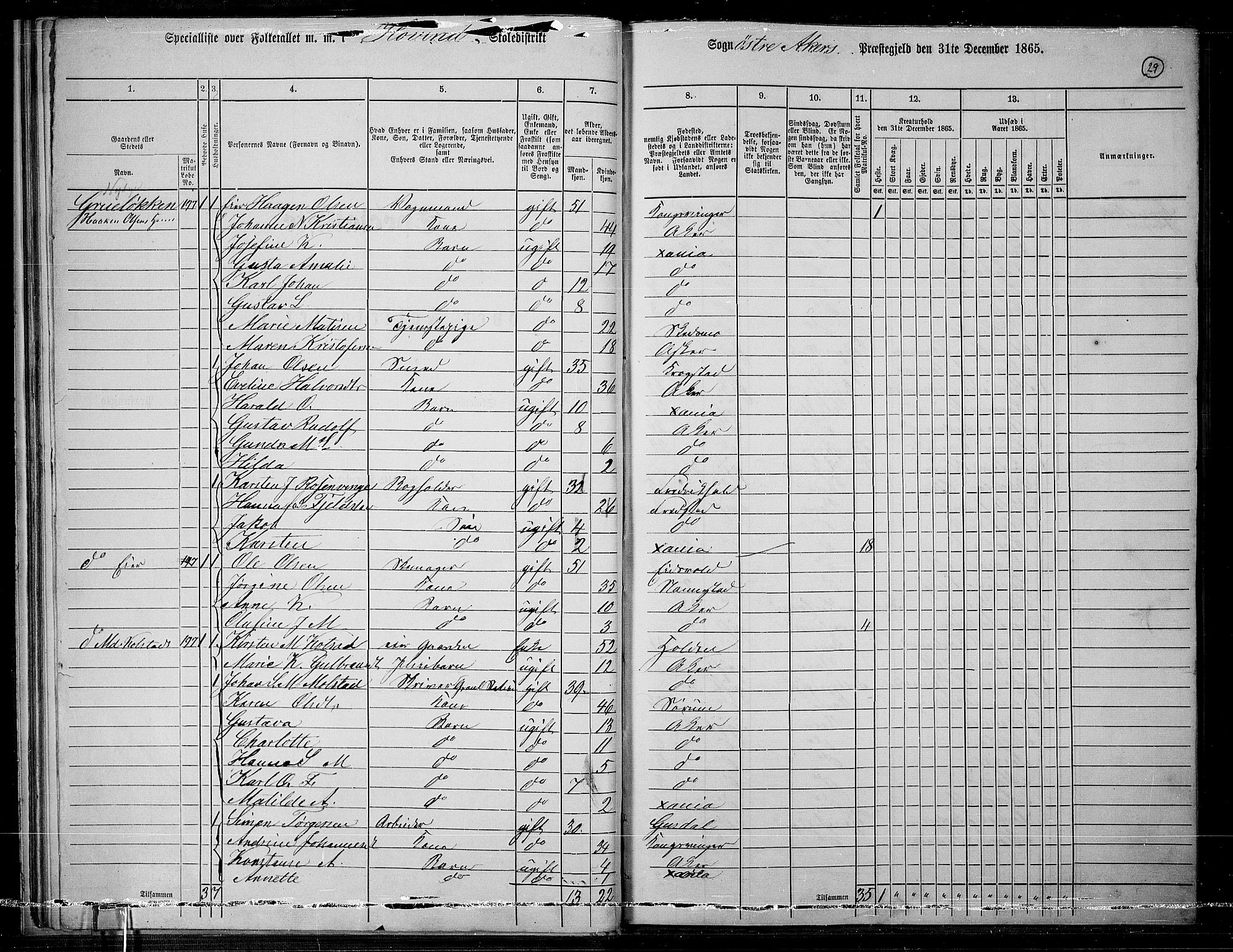 RA, 1865 census for Østre Aker, 1865, p. 253