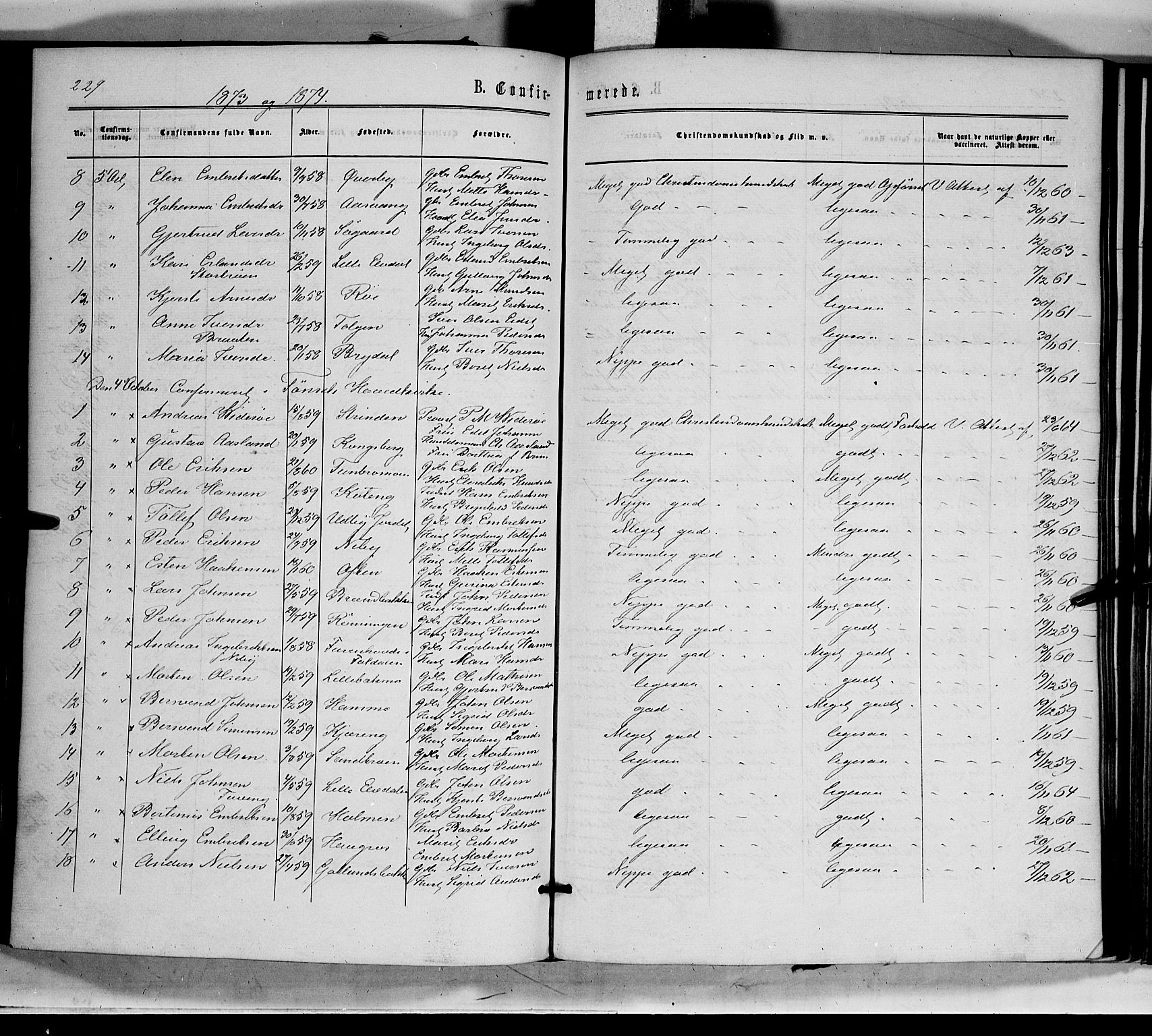 Tynset prestekontor, SAH/PREST-058/H/Ha/Haa/L0021: Parish register (official) no. 21, 1863-1879, p. 229