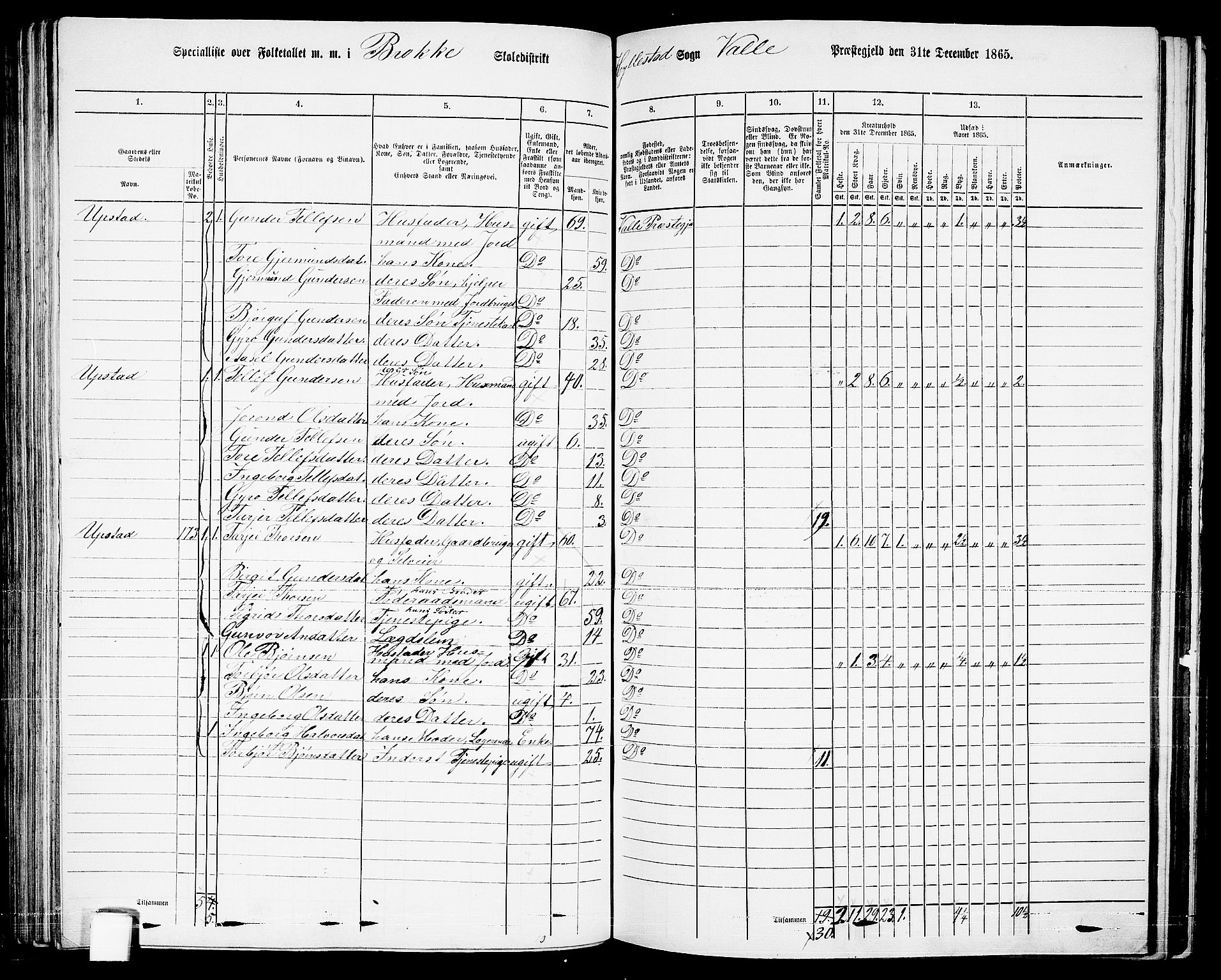 RA, 1865 census for Valle, 1865, p. 100