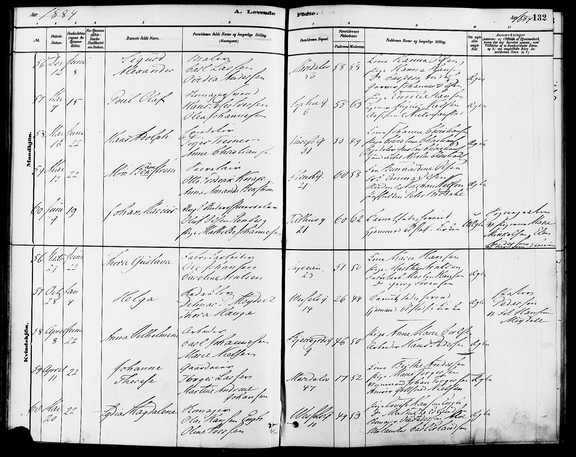 Gamle Aker prestekontor Kirkebøker, SAO/A-10617a/F/L0006: Parish register (official) no. 6, 1880-1887, p. 132