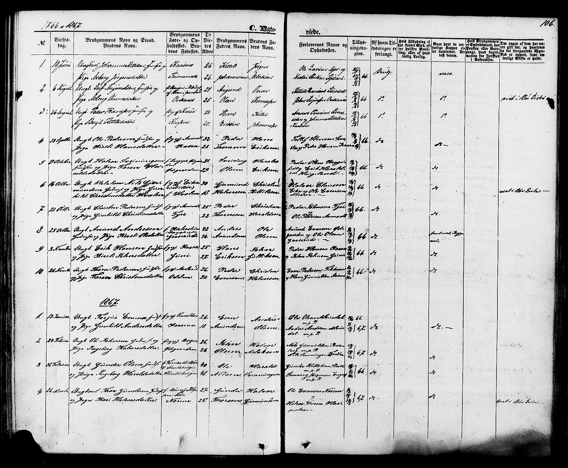 Lunde kirkebøker, SAKO/A-282/F/Fa/L0001: Parish register (official) no. I 1, 1866-1883, p. 106