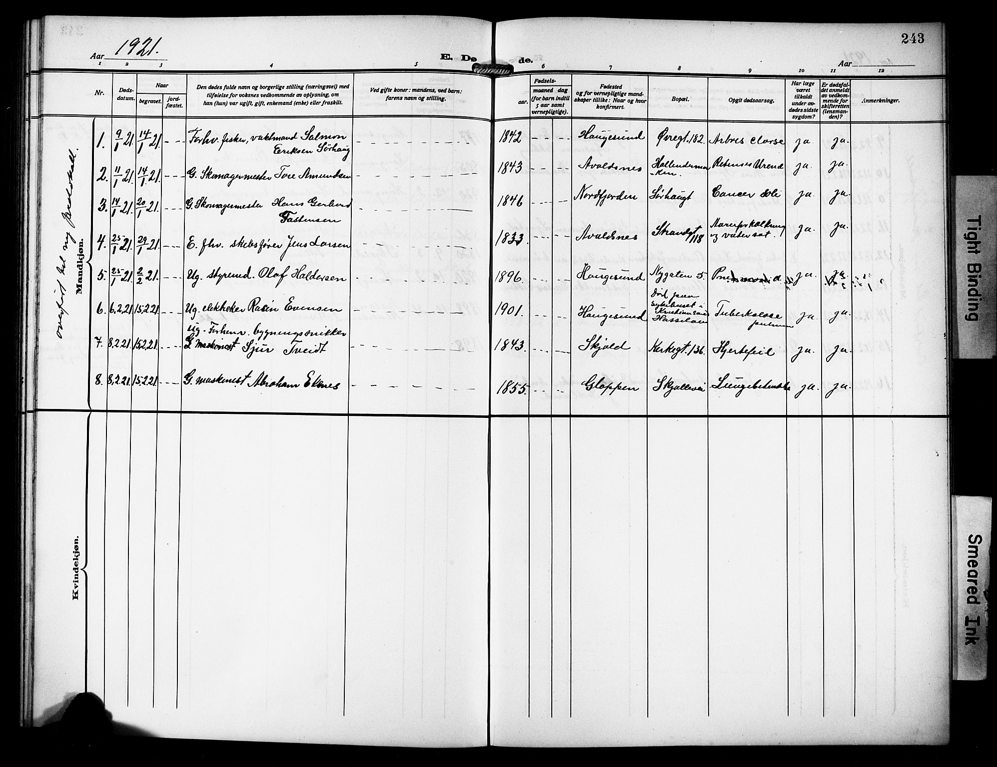 Haugesund sokneprestkontor, AV/SAST-A -101863/H/Ha/Hab/L0008: Parish register (copy) no. B 8, 1909-1921, p. 243