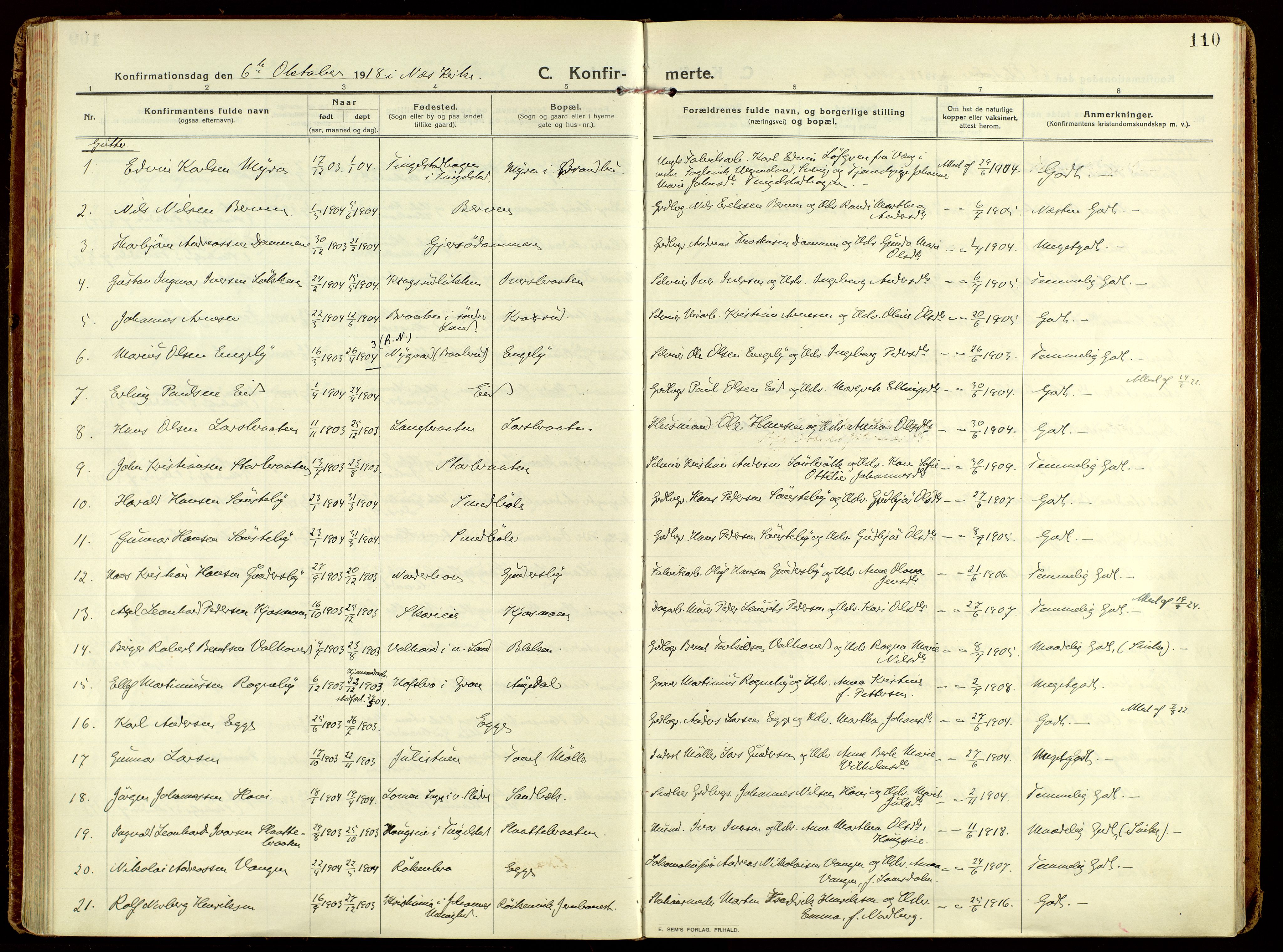 Brandbu prestekontor, AV/SAH-PREST-114/H/Ha/Haa/L0004: Parish register (official) no. 4, 1913-1923, p. 110