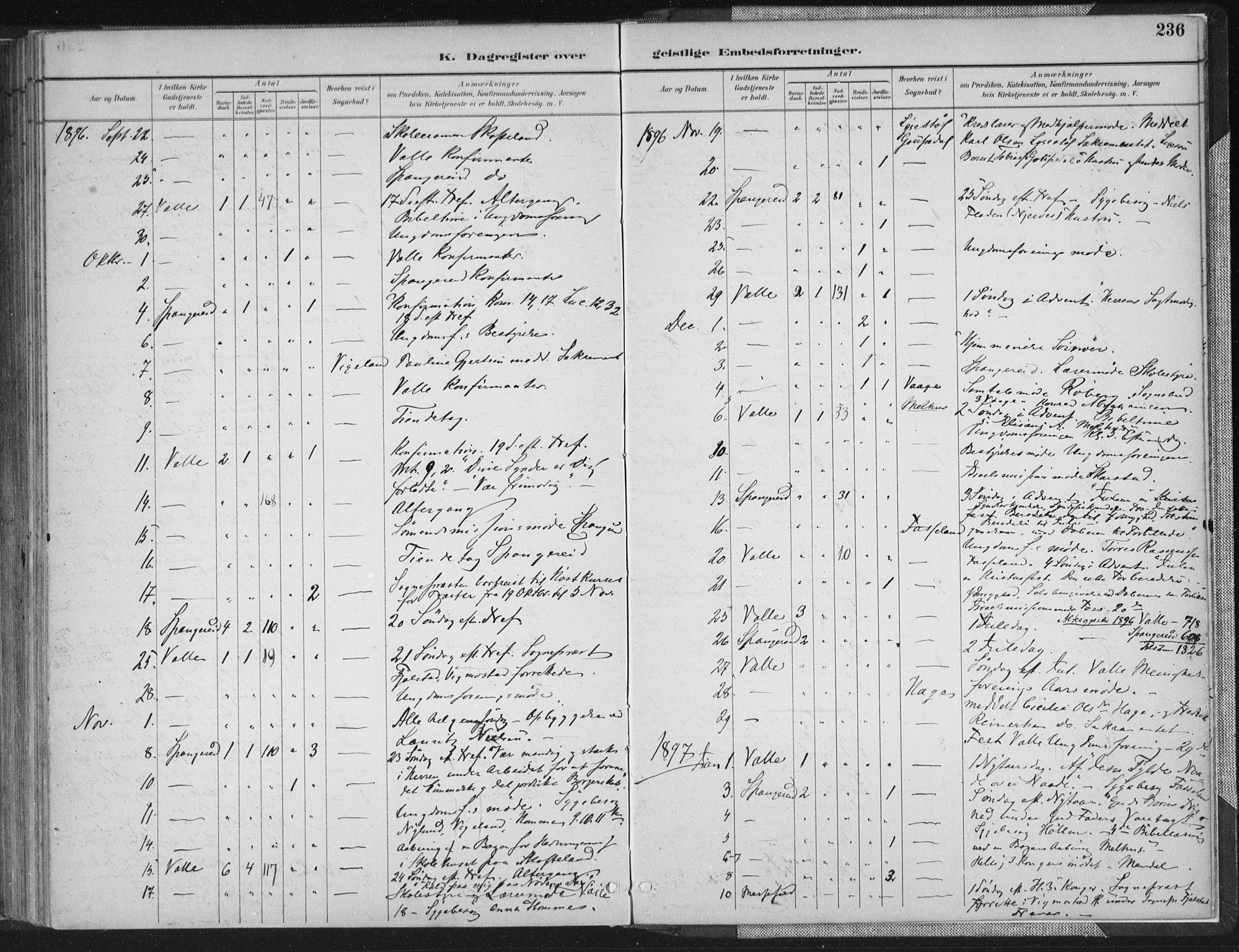 Sør-Audnedal sokneprestkontor, SAK/1111-0039/F/Fa/Faa/L0004: Parish register (official) no. A 4, 1884-1909, p. 236