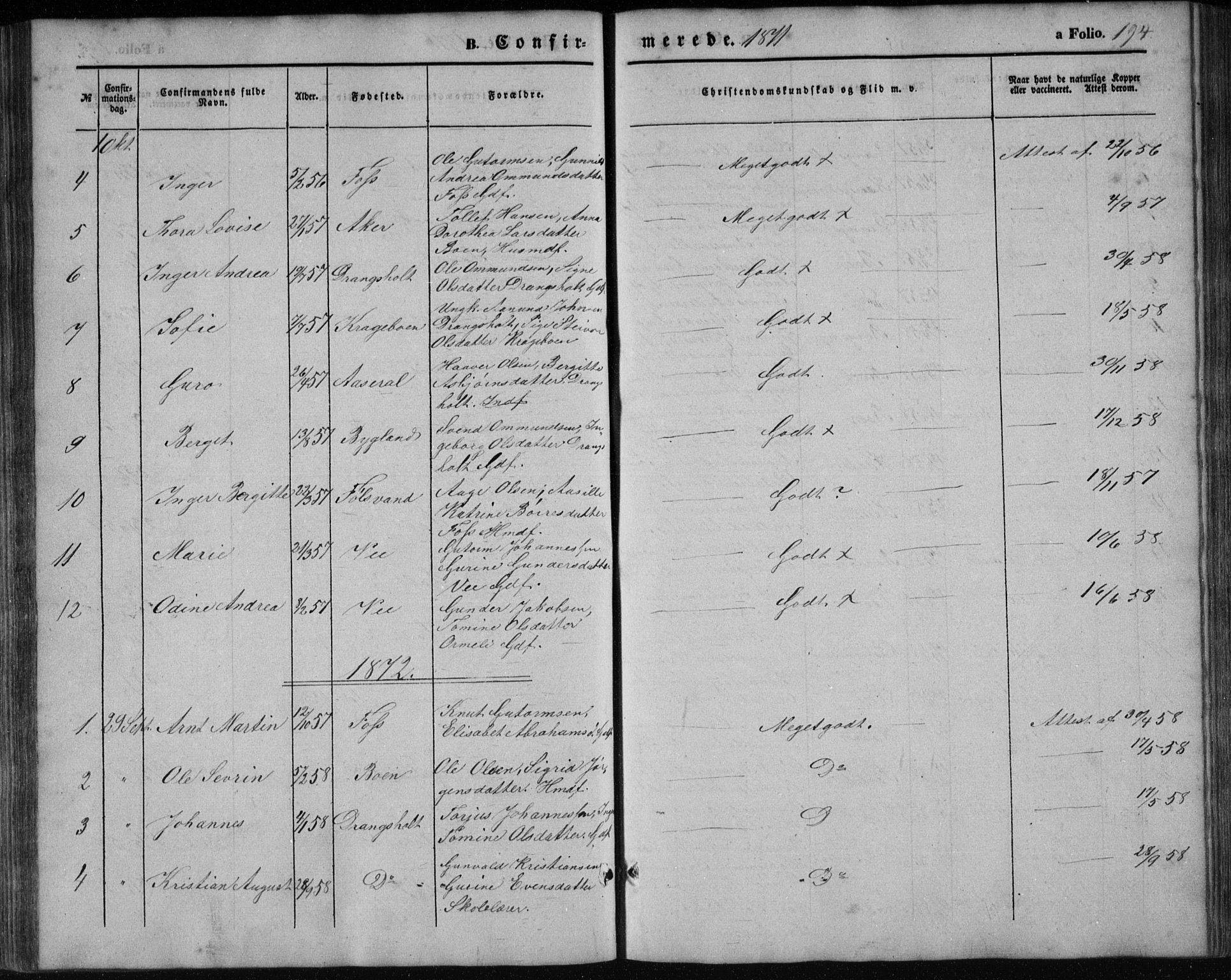 Tveit sokneprestkontor, AV/SAK-1111-0043/F/Fb/L0003: Parish register (copy) no. B 3, 1854-1886, p. 194