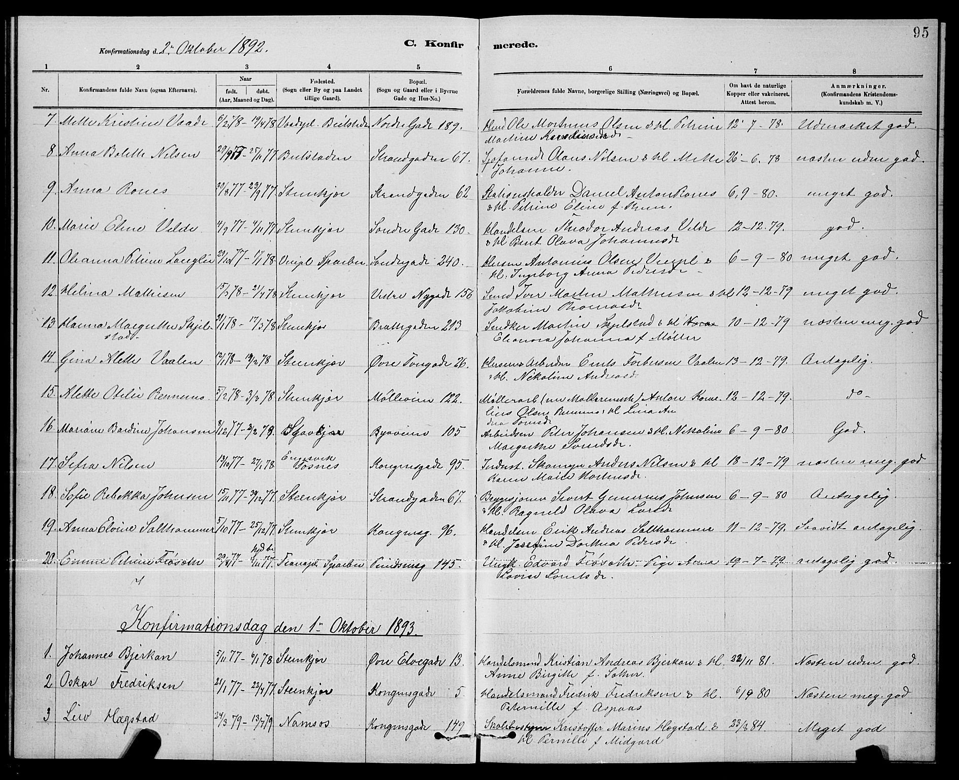 Ministerialprotokoller, klokkerbøker og fødselsregistre - Nord-Trøndelag, SAT/A-1458/739/L0374: Parish register (copy) no. 739C02, 1883-1898, p. 95