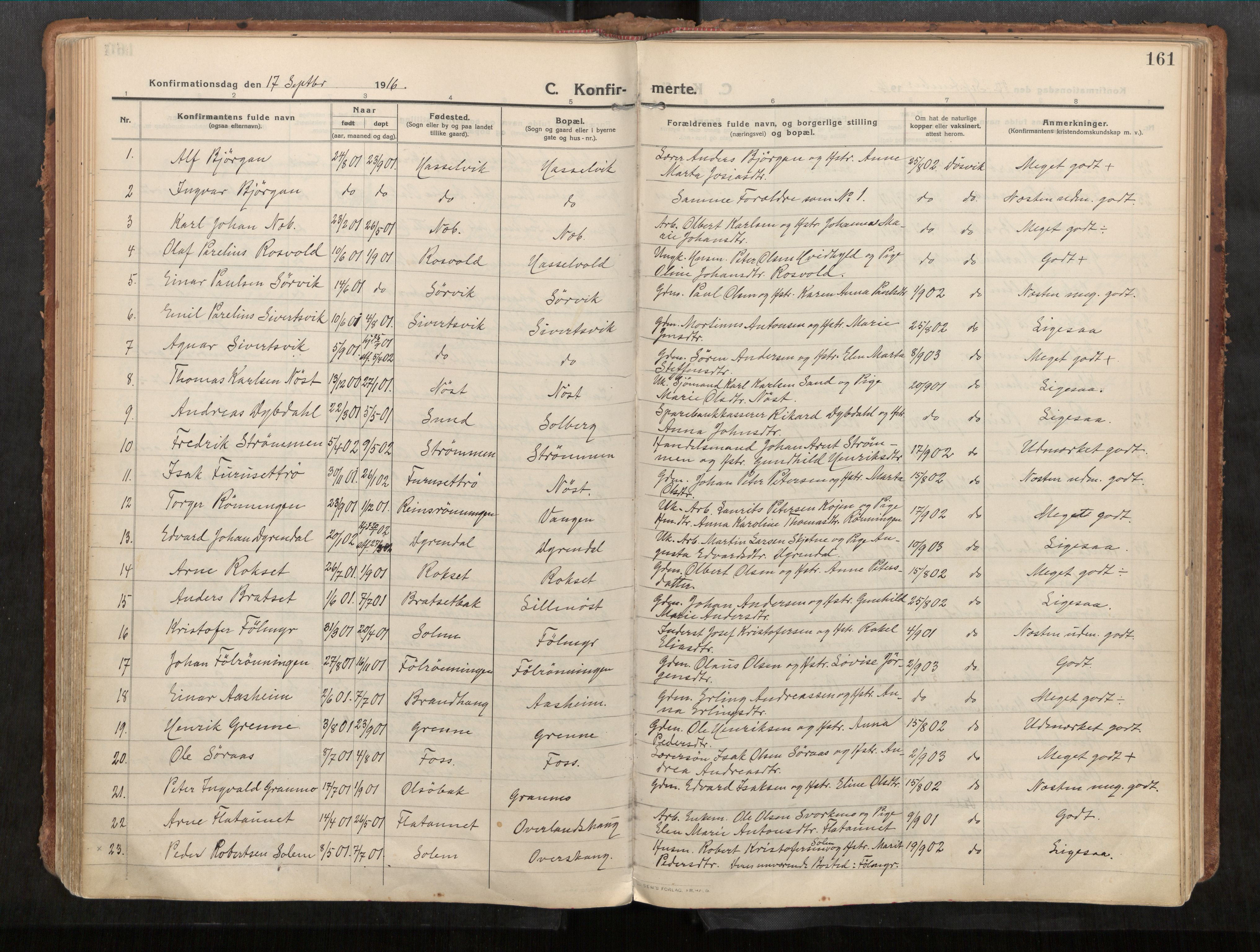 Stadsbygd sokneprestkontor, SAT/A-1117/1/I/I1/I1a/L0001: Parish register (official) no. 1, 1911-1929, p. 161