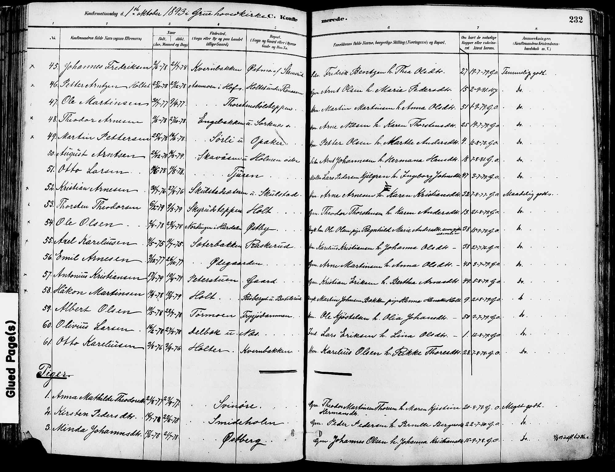 Grue prestekontor, AV/SAH-PREST-036/H/Ha/Haa/L0012: Parish register (official) no. 12, 1881-1897, p. 232