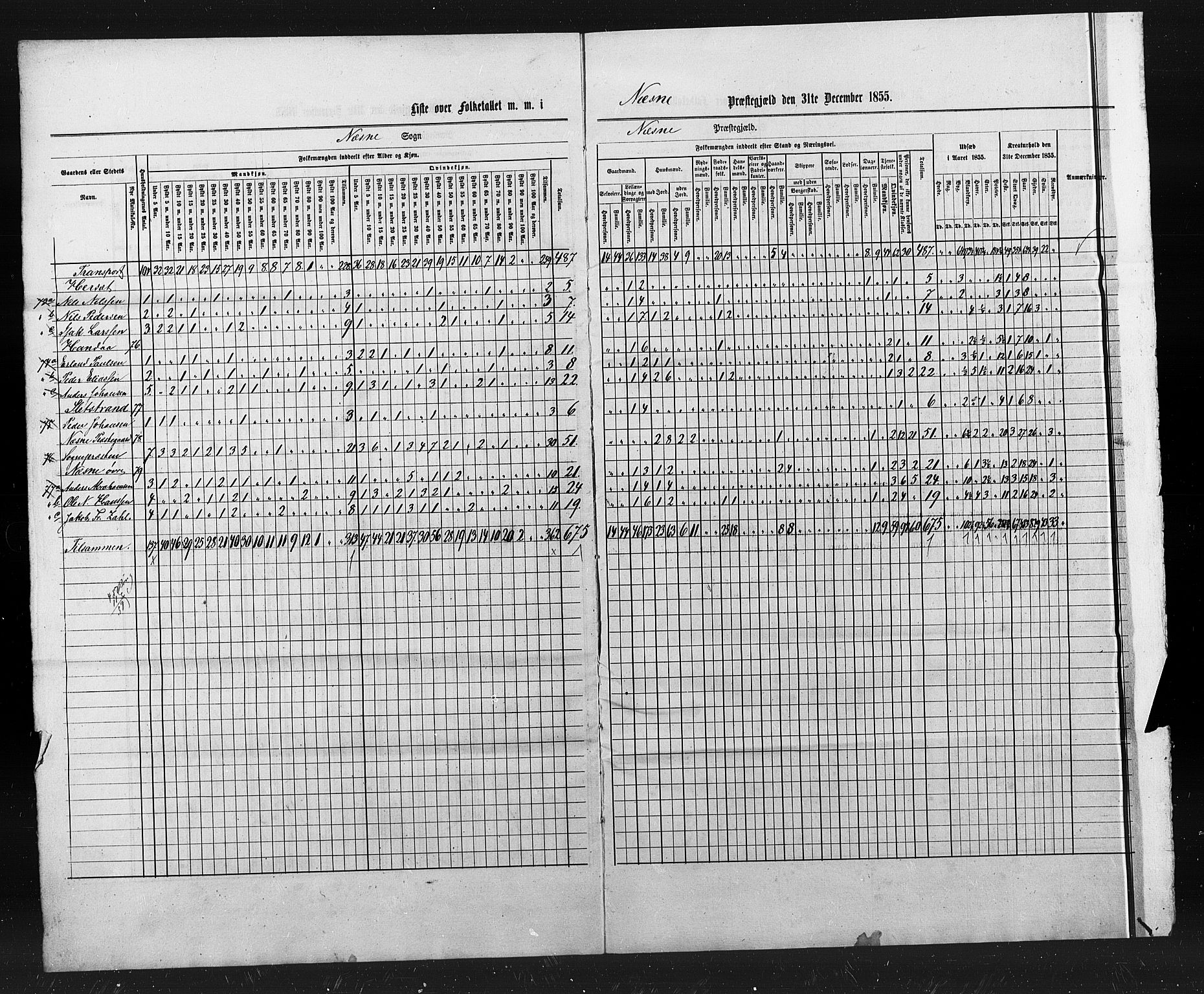 , Census 1855 for Nesna, 1855, p. 12