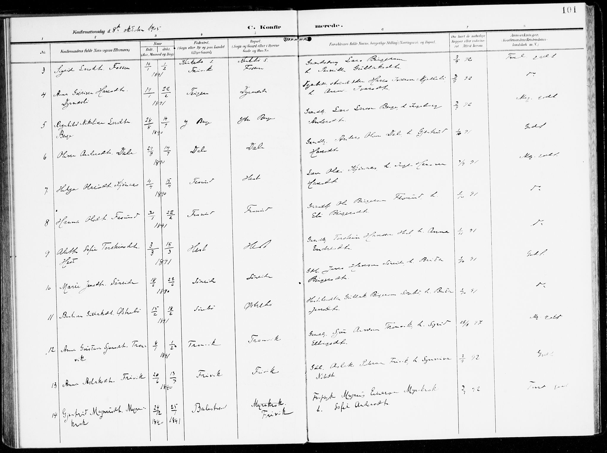 Lavik sokneprestembete, AV/SAB-A-80901: Parish register (official) no. C 2, 1904-1921, p. 101