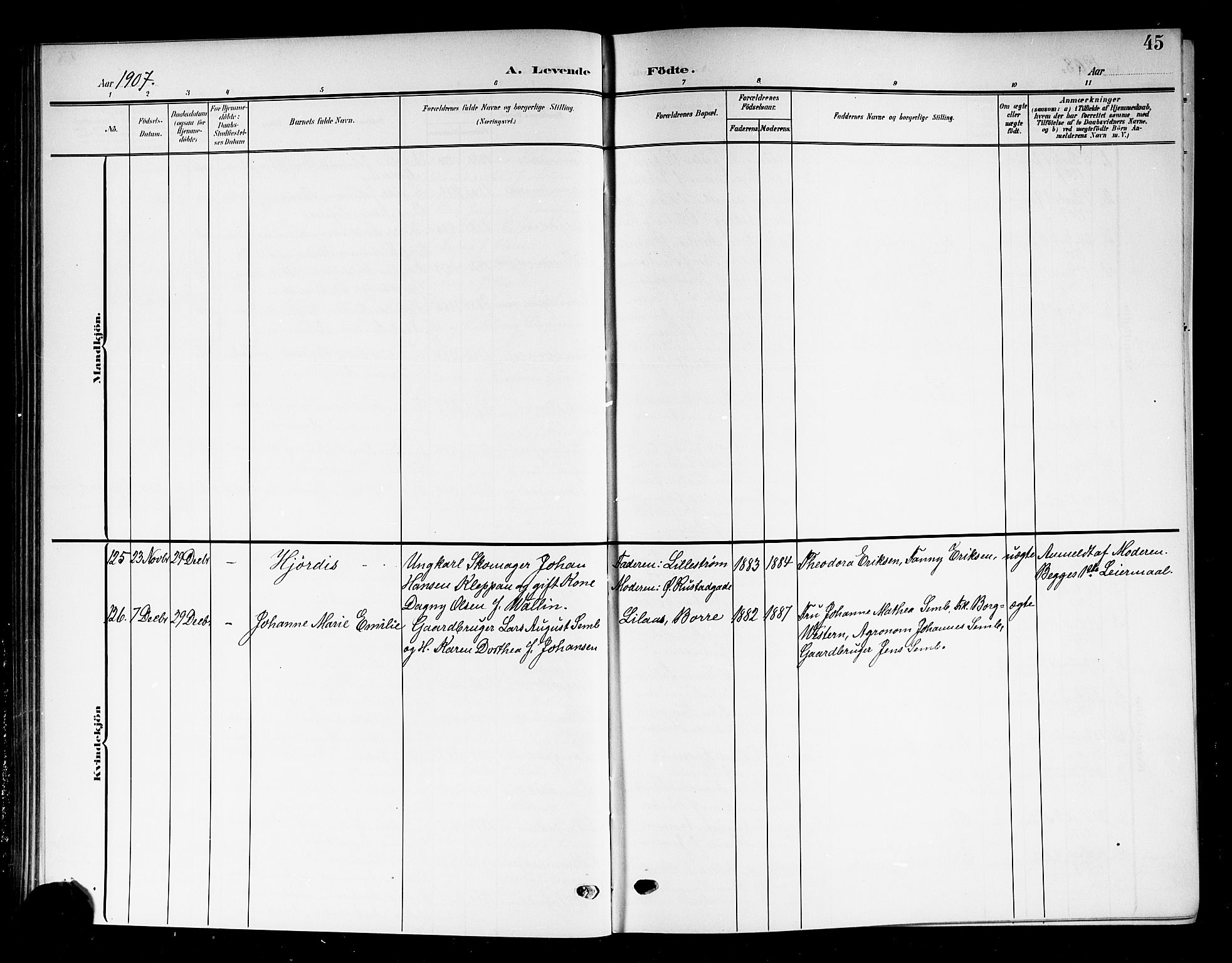 Horten kirkebøker, AV/SAKO-A-348/G/Ga/L0007: Parish register (copy) no. 7, 1905-1915, p. 45