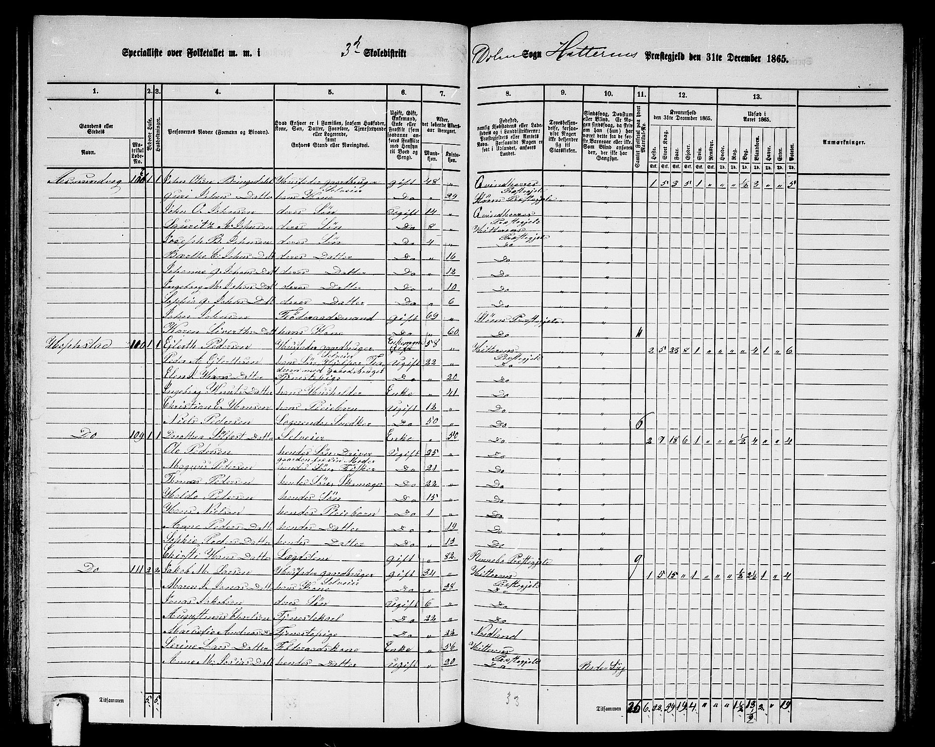 RA, 1865 census for Hitra, 1865, p. 171