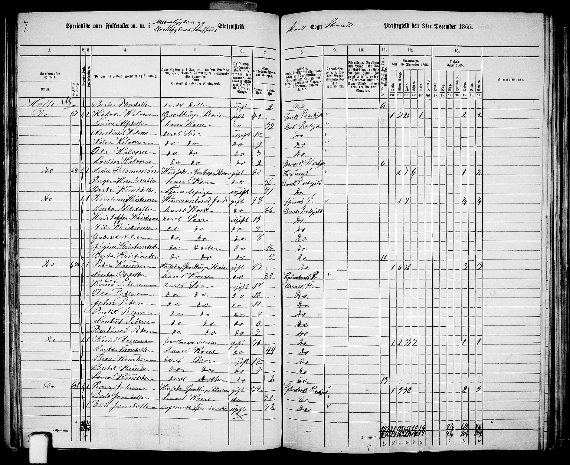 RA, 1865 census for Strand, 1865, p. 29