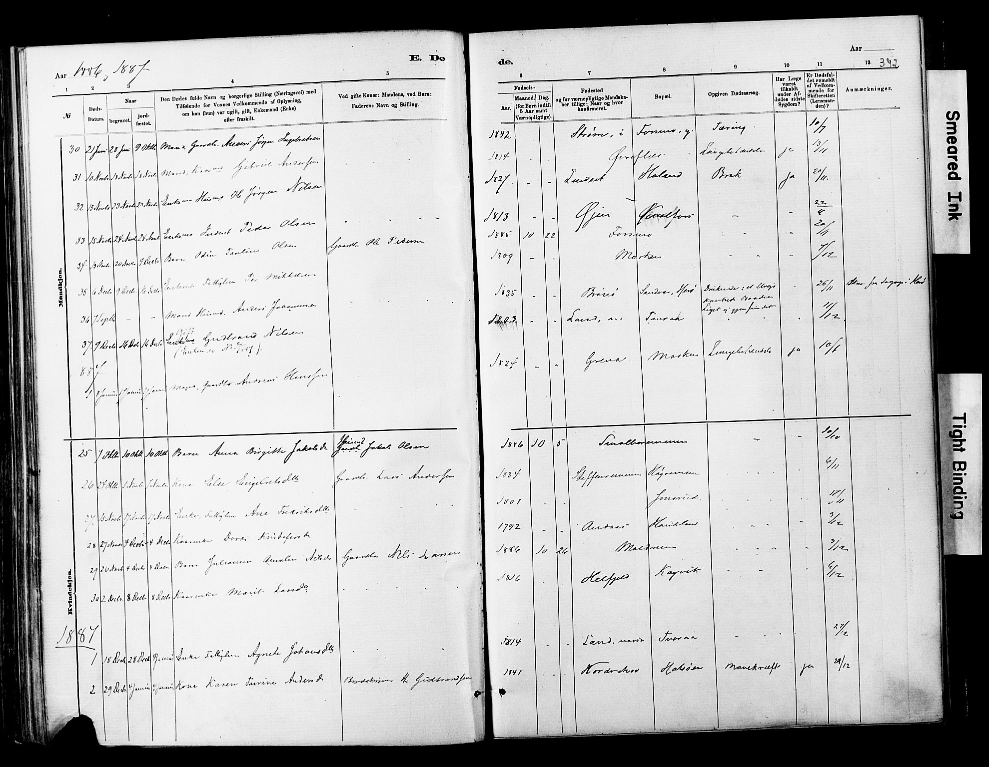 Ministerialprotokoller, klokkerbøker og fødselsregistre - Nordland, SAT/A-1459/820/L0295: Parish register (official) no. 820A16, 1880-1896, p. 392