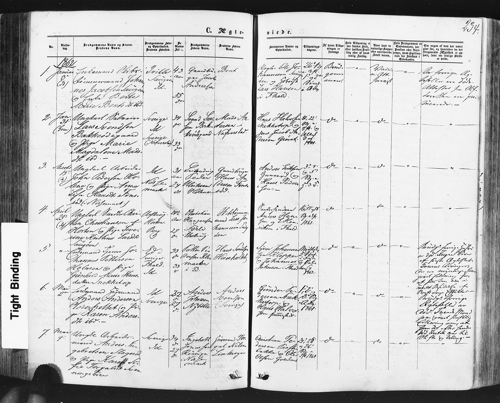 Idd prestekontor Kirkebøker, SAO/A-10911/F/Fc/L0005: Parish register (official) no. III 5, 1861-1877, p. 234