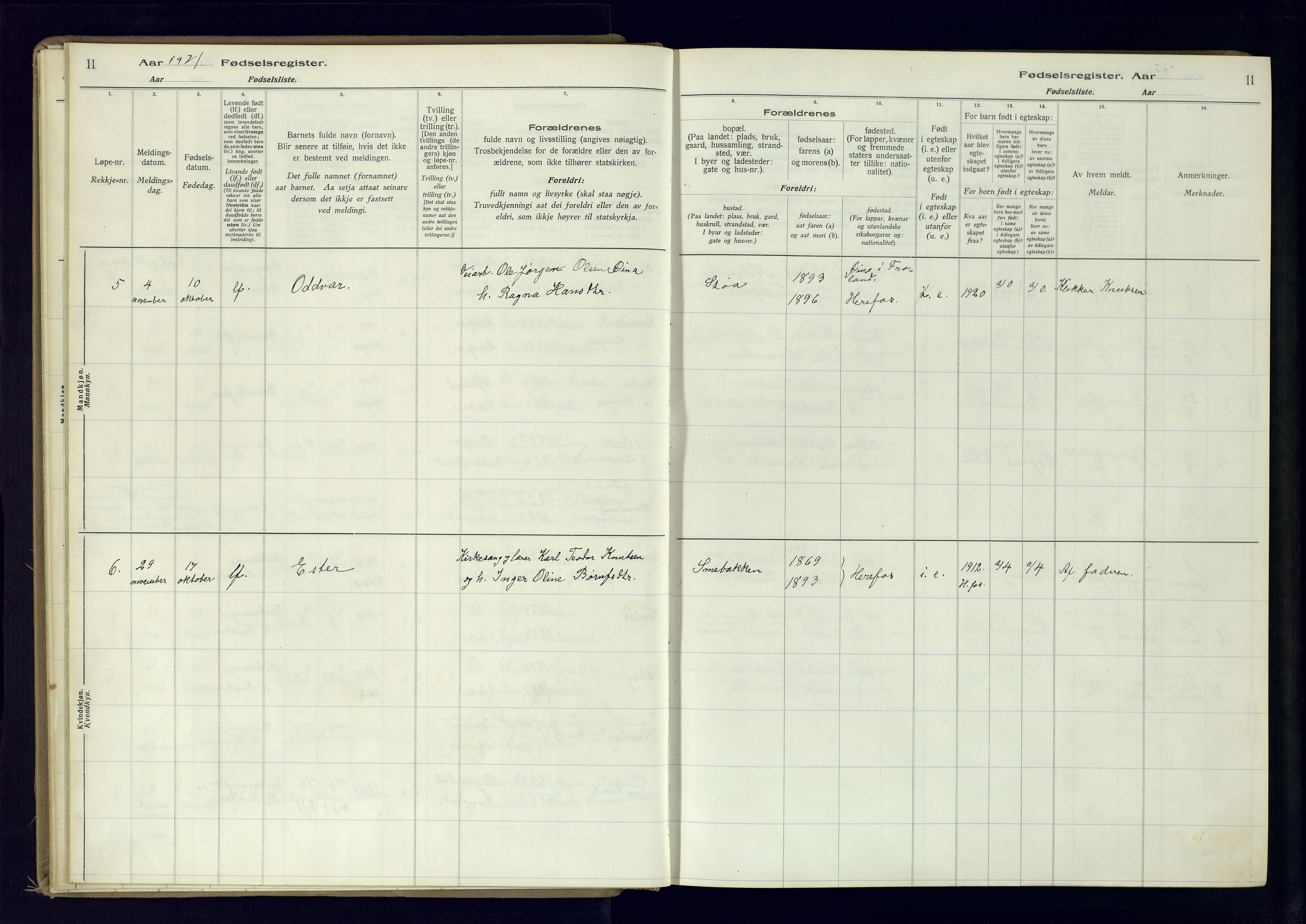 Herefoss sokneprestkontor, AV/SAK-1111-0019/J/Ja/L0001: Birth register no. II.6.10, 1916-1982, p. 11