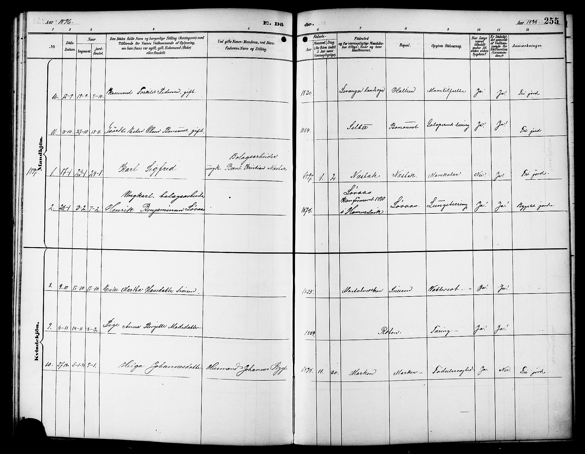 Ministerialprotokoller, klokkerbøker og fødselsregistre - Sør-Trøndelag, SAT/A-1456/617/L0431: Parish register (copy) no. 617C01, 1889-1910, p. 255