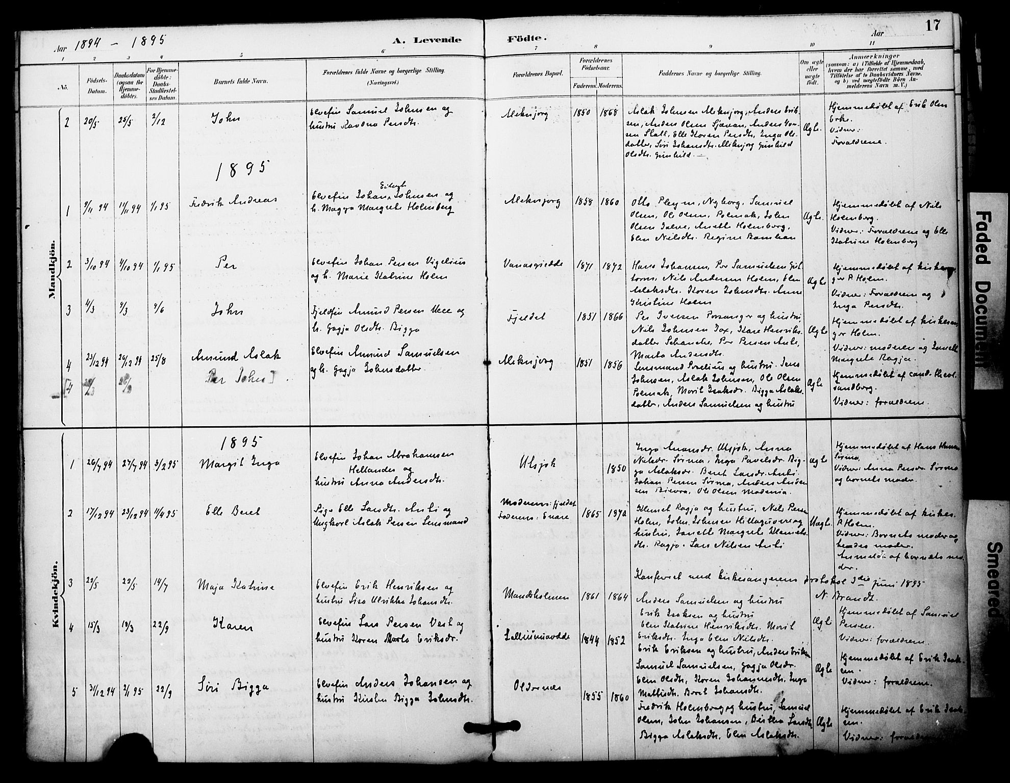 Nesseby sokneprestkontor, SATØ/S-1330/H/Ha/L0005kirke: Parish register (official) no. 5, 1885-1906, p. 17