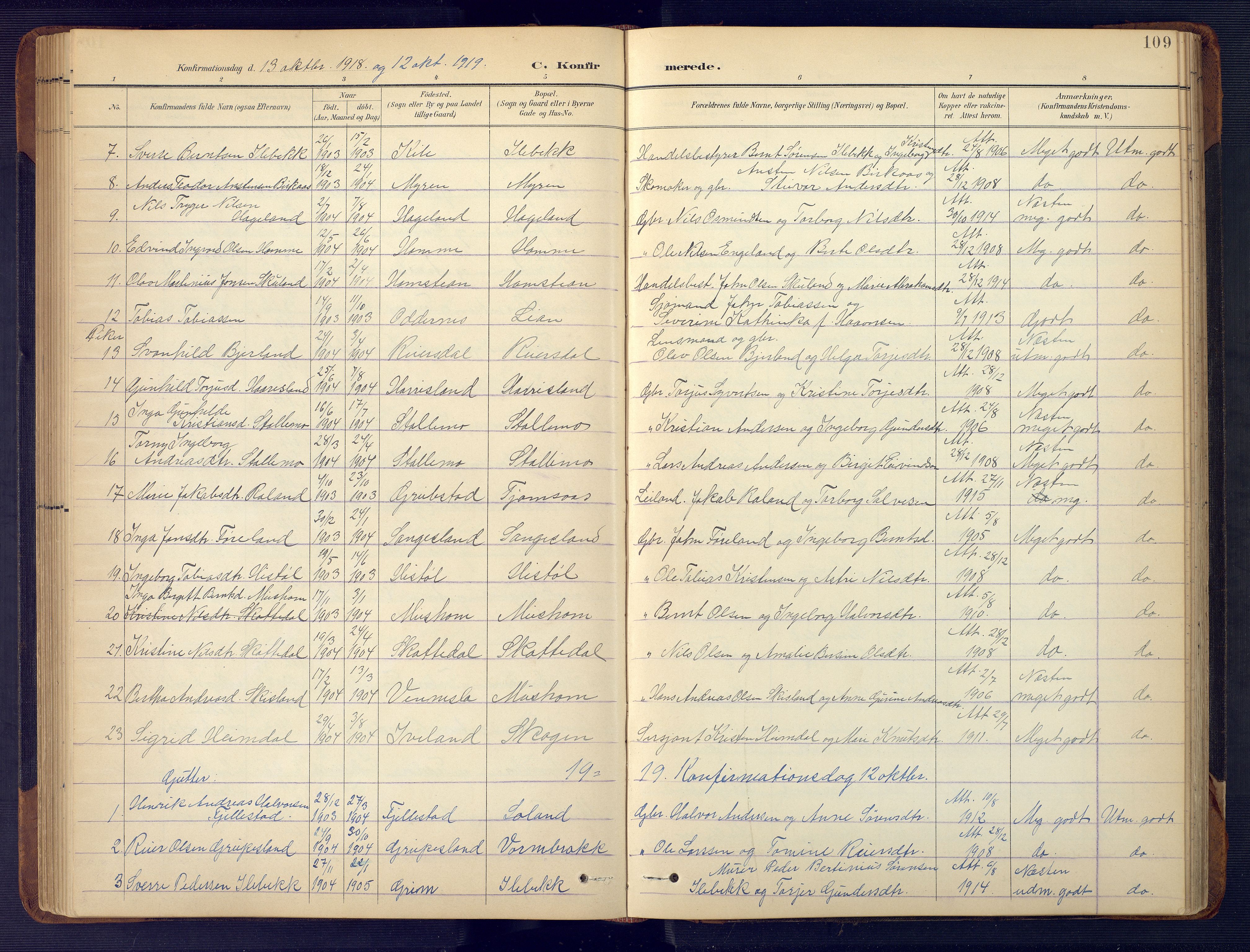 Vennesla sokneprestkontor, SAK/1111-0045/Fb/Fbc/L0003: Parish register (copy) no. B 3, 1895-1946, p. 109
