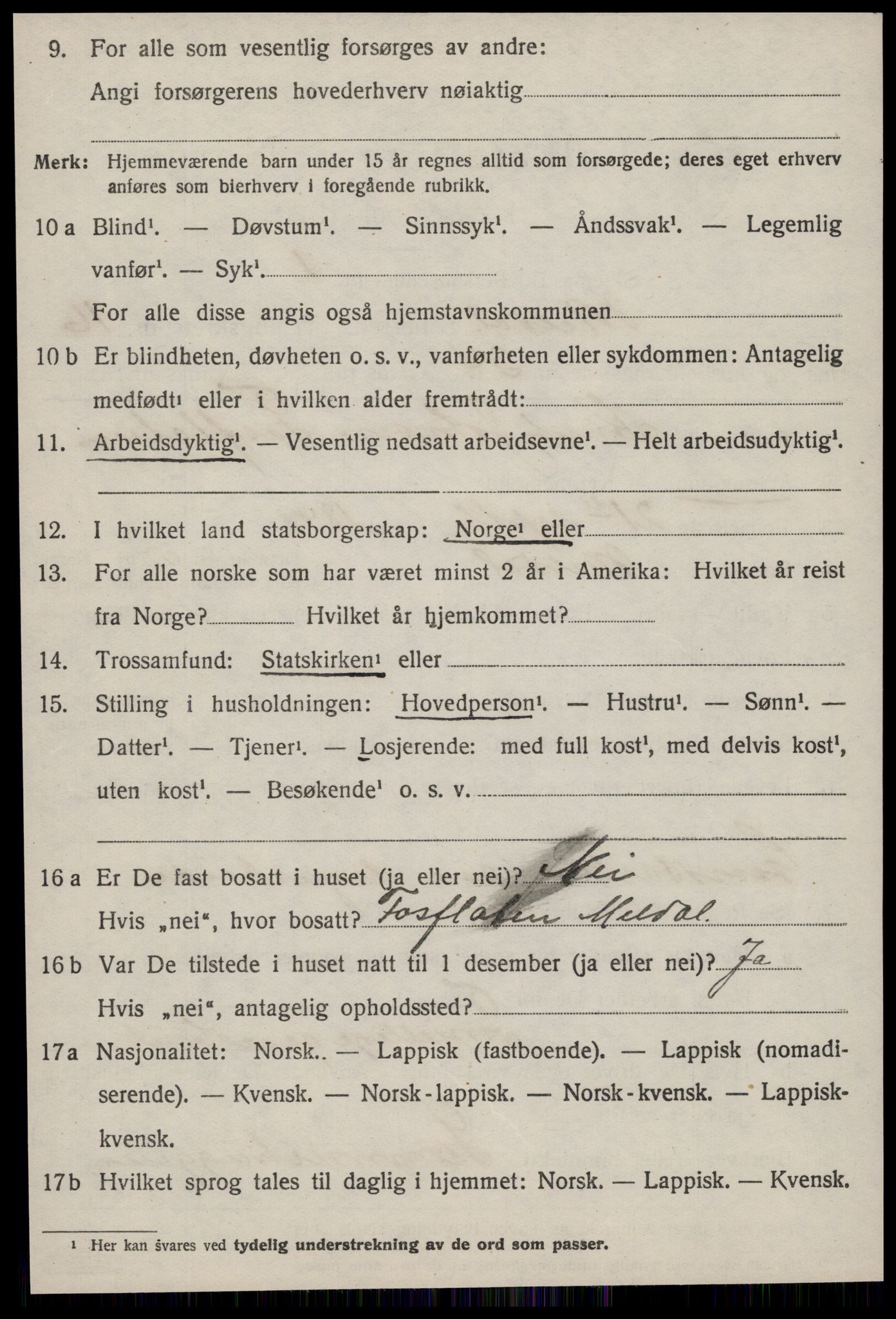 SAT, 1920 census for Meldal, 1920, p. 11120