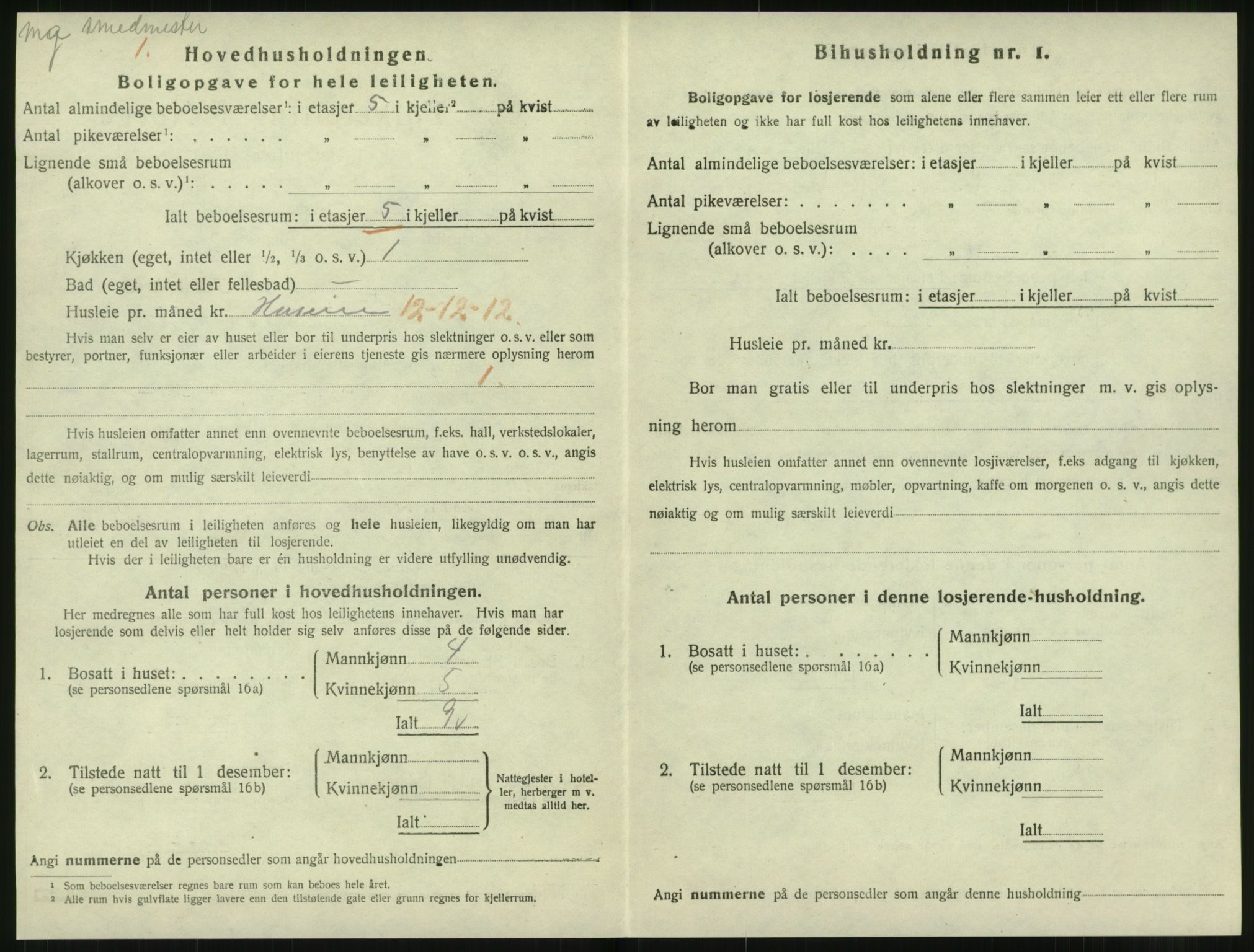 SAT, 1920 census for Levanger town, 1920, p. 667