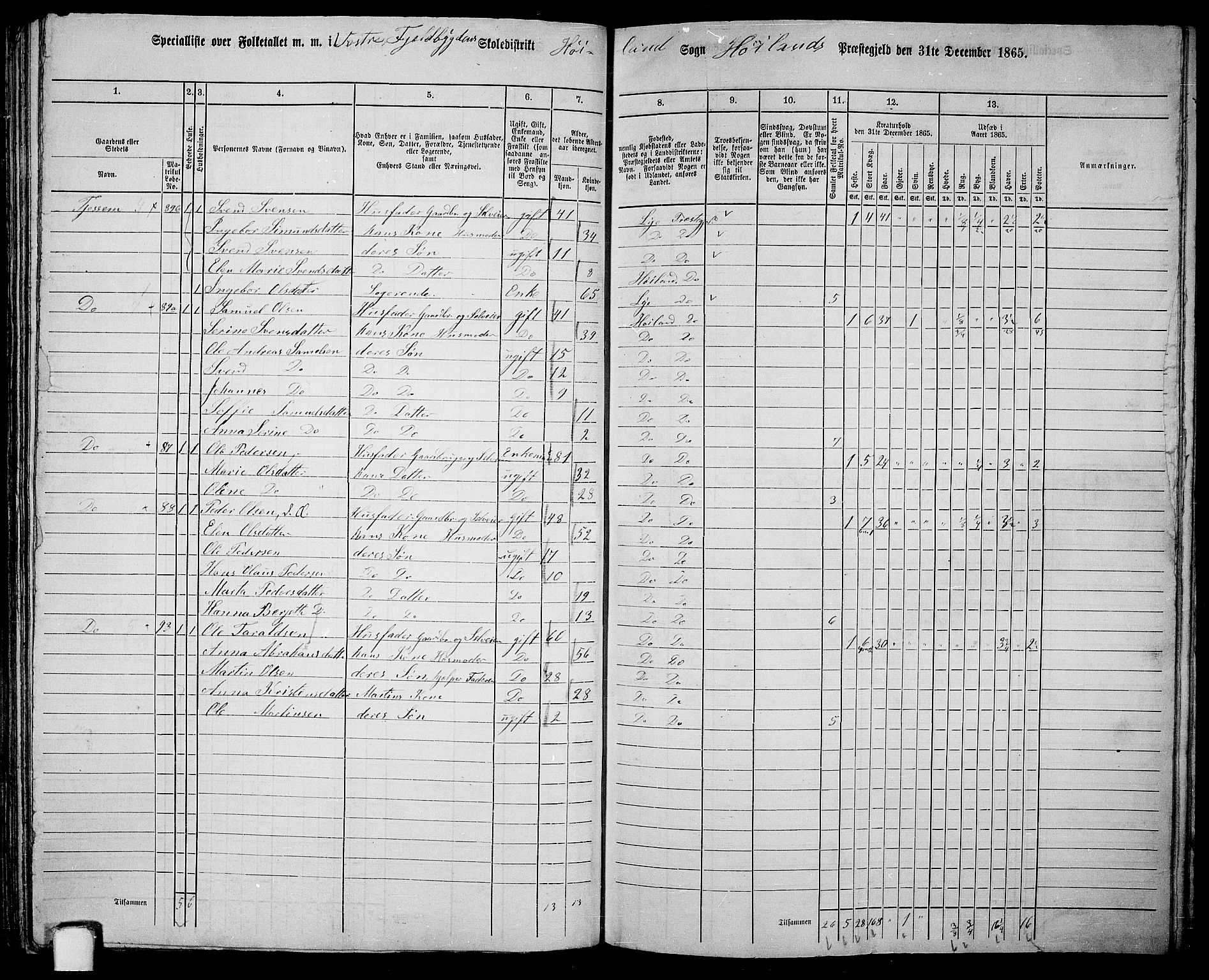 RA, 1865 census for Høyland, 1865, p. 100