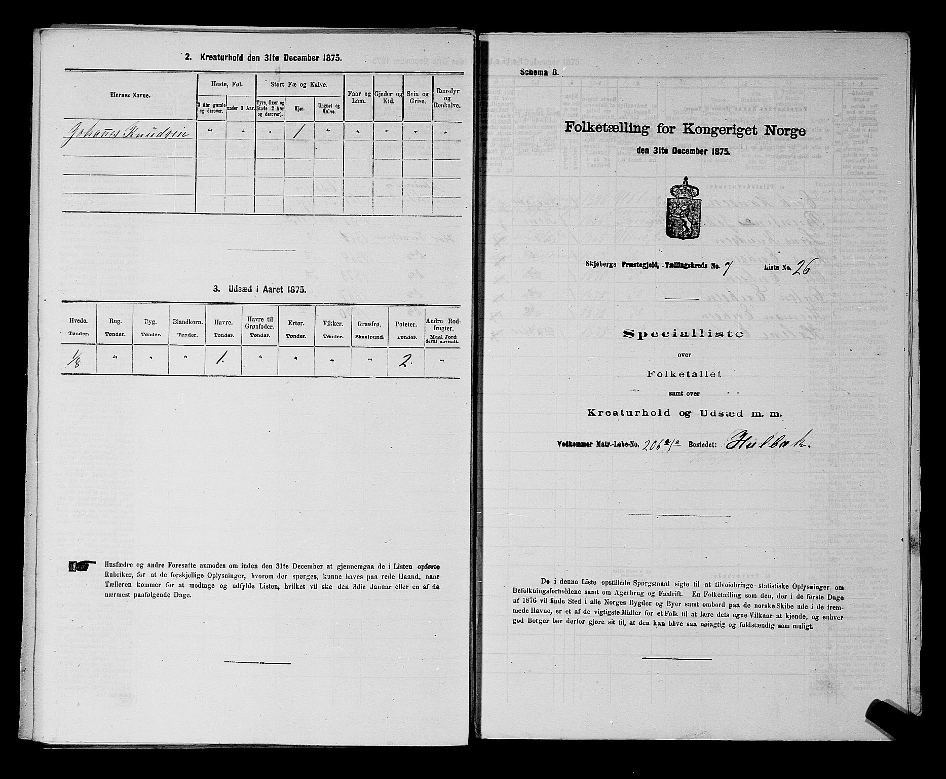 RA, 1875 census for 0115P Skjeberg, 1875, p. 1315