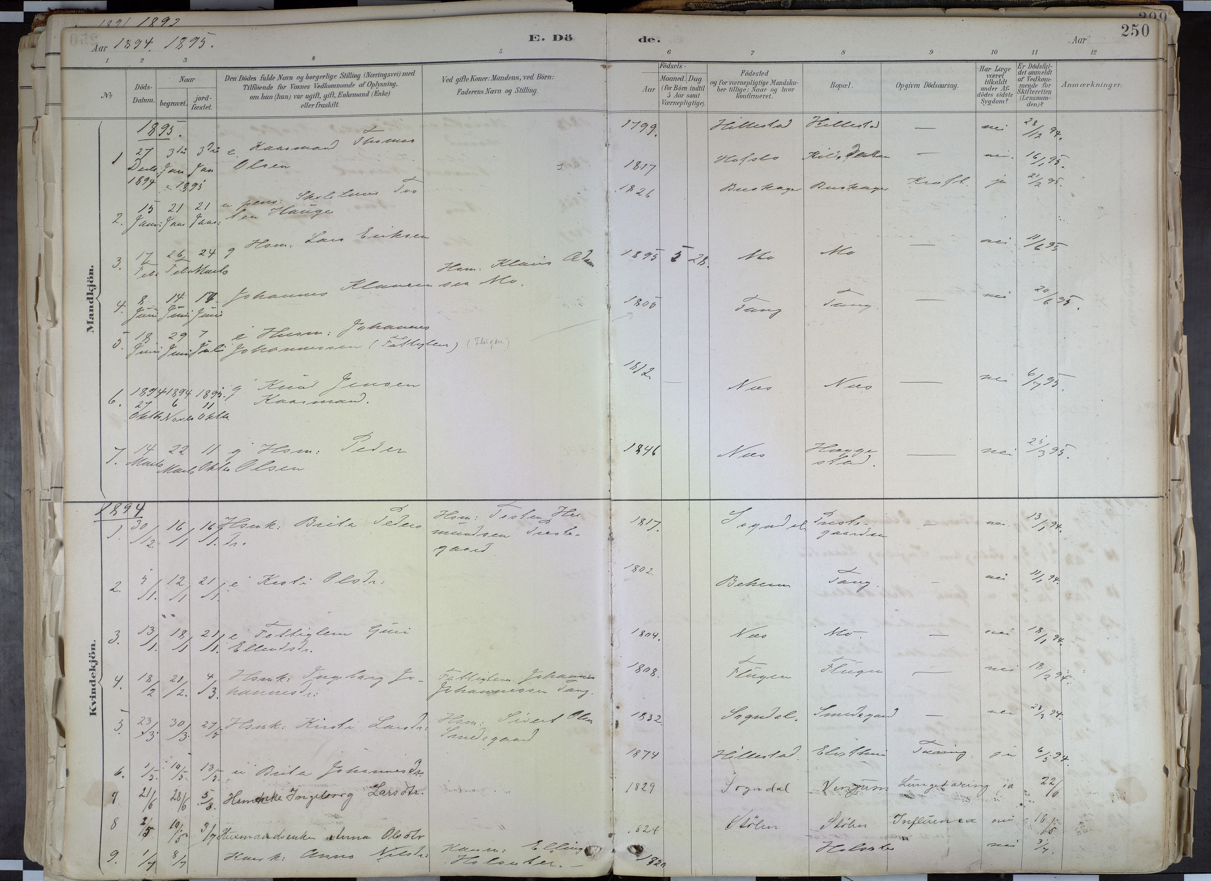 Hafslo sokneprestembete, AV/SAB-A-80301/H/Haa/Haab/L0001: Parish register (official) no. B 1, 1886-1945, p. 250