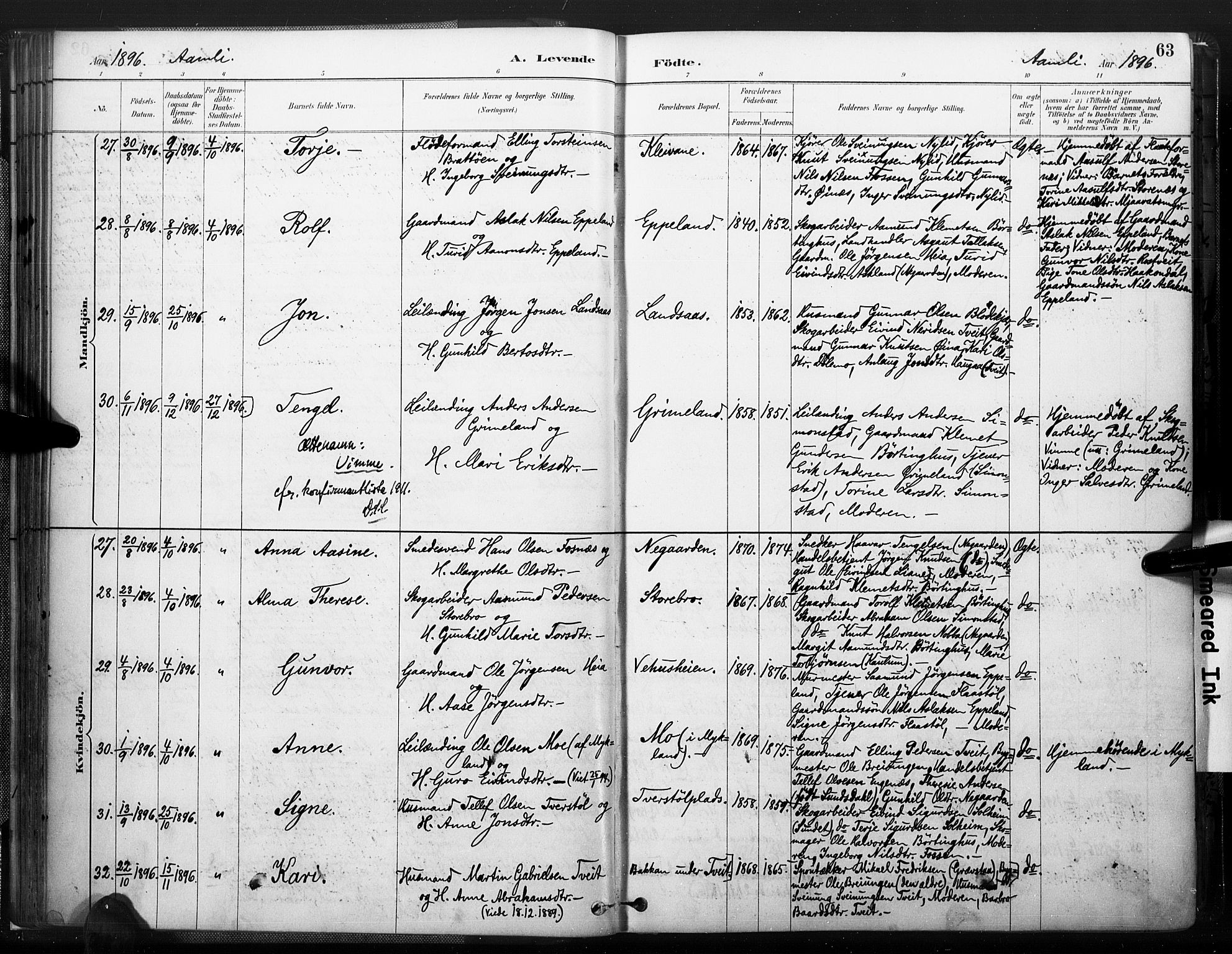 Åmli sokneprestkontor, AV/SAK-1111-0050/F/Fa/Fac/L0010: Parish register (official) no. A 10 /1, 1885-1899, p. 63