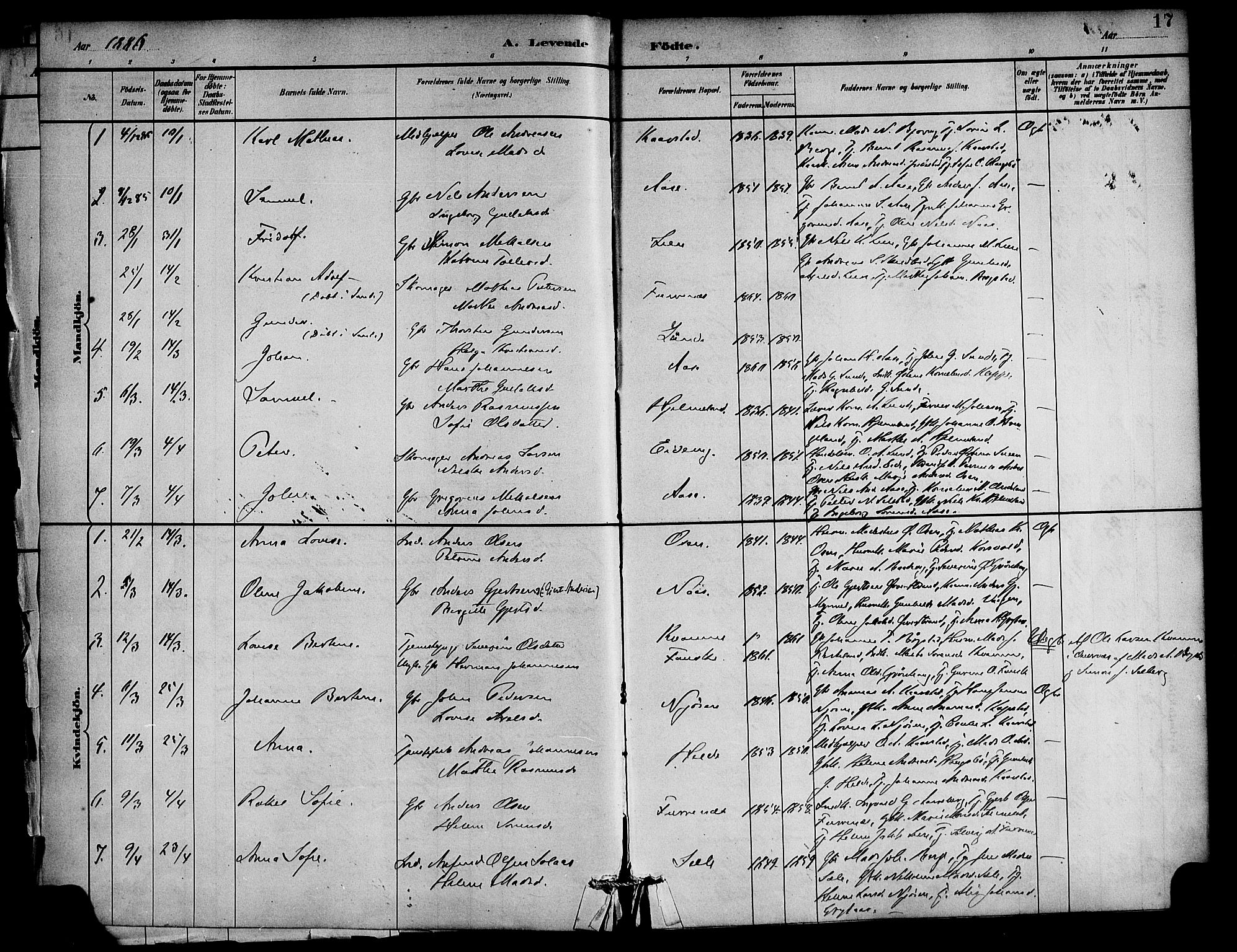 Gaular sokneprestembete, AV/SAB-A-80001/H/Haa: Parish register (official) no. C 1, 1882-1897, p. 17