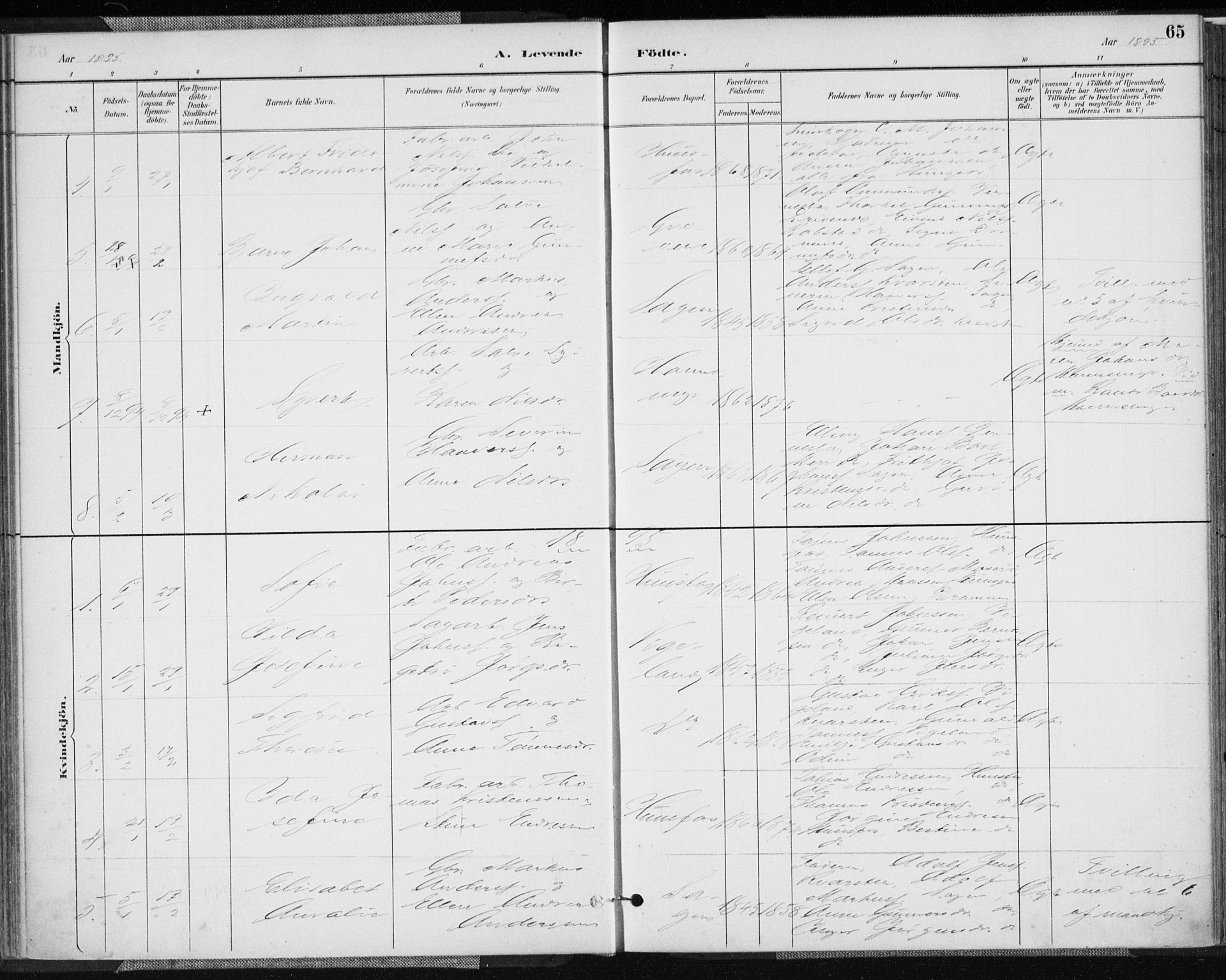 Vennesla sokneprestkontor, AV/SAK-1111-0045/Fa/Fab/L0004: Parish register (official) no. A 4, 1884-1896, p. 65