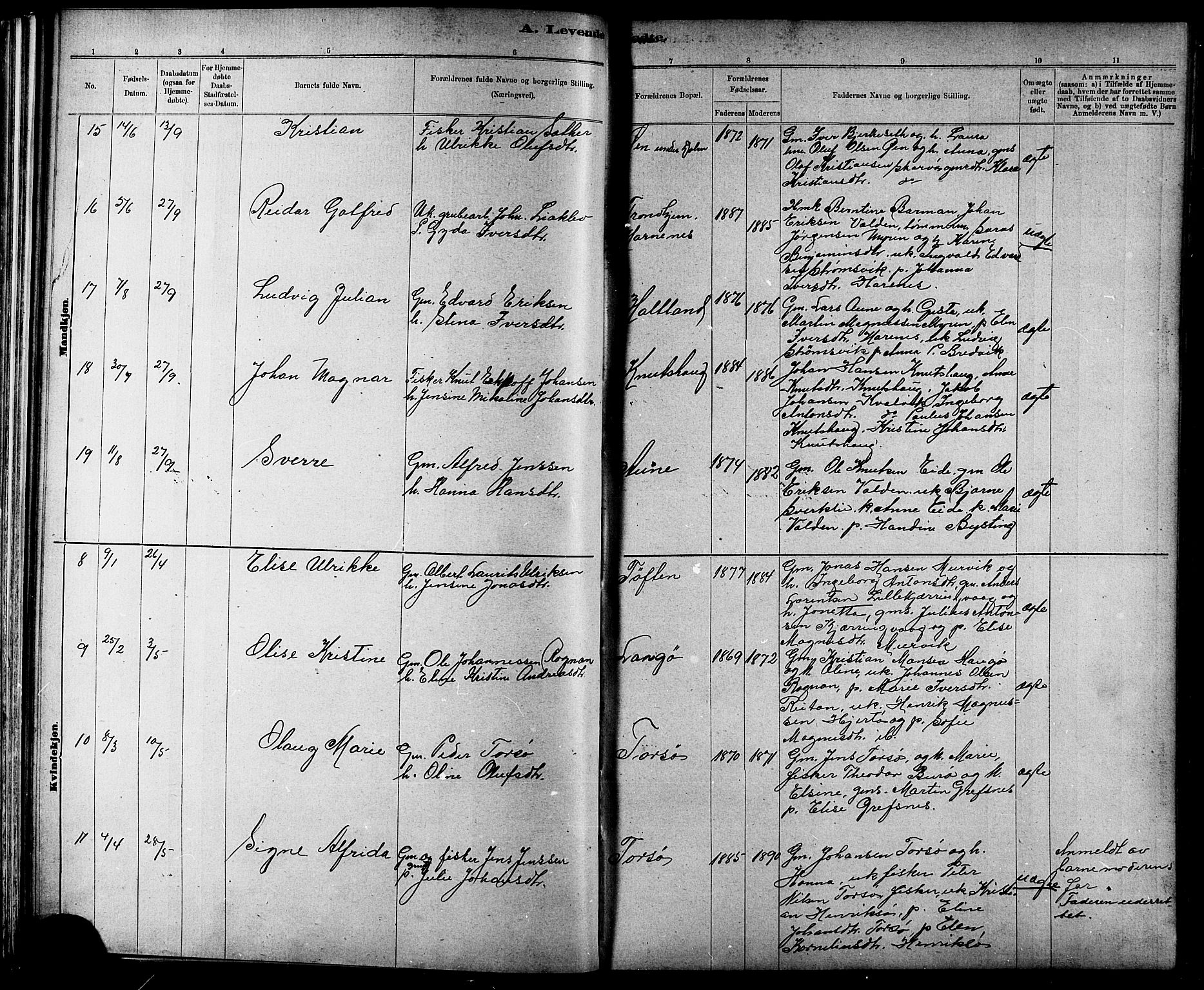 Ministerialprotokoller, klokkerbøker og fødselsregistre - Sør-Trøndelag, AV/SAT-A-1456/634/L0542: Parish register (copy) no. 634C04, 1892-1916