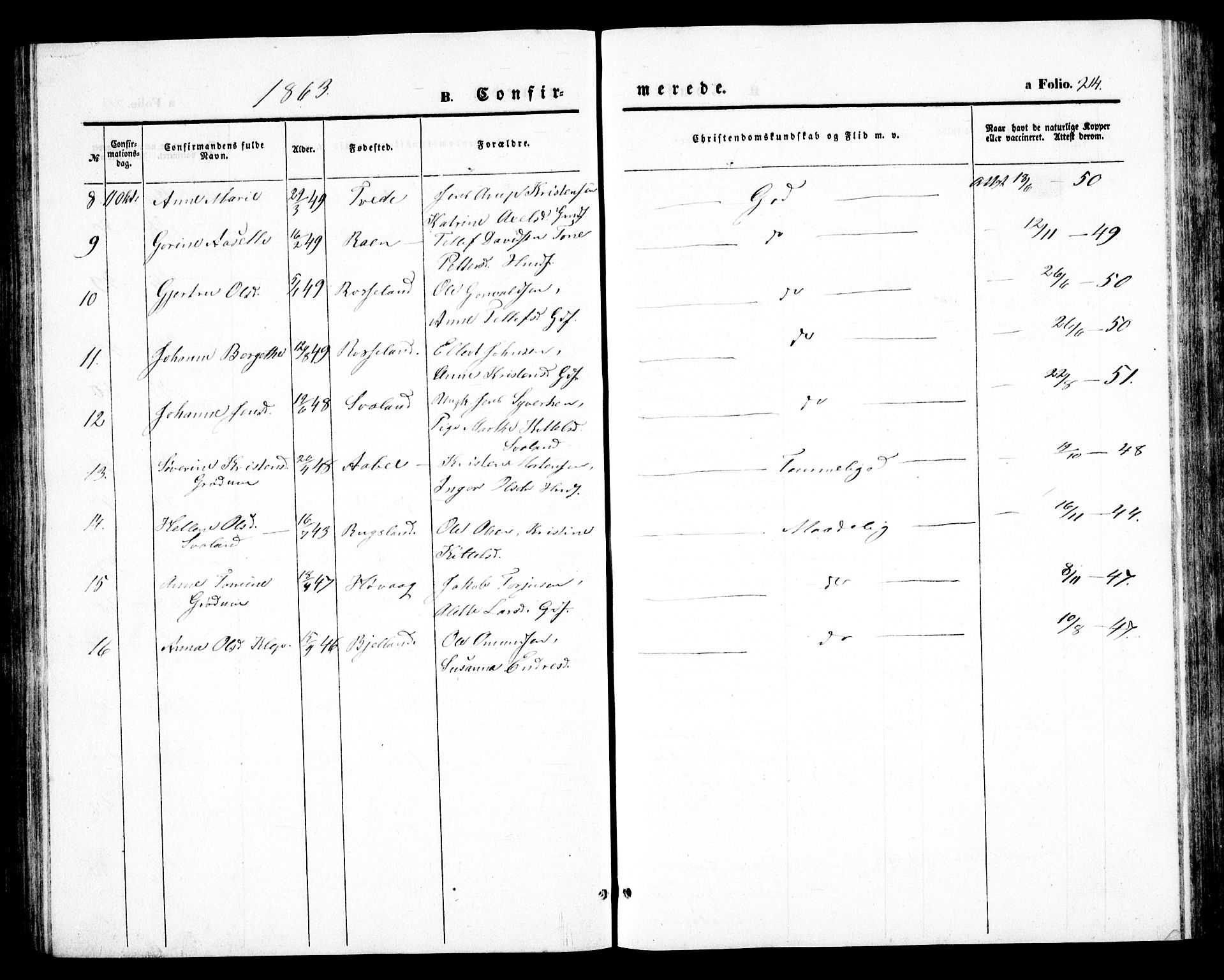 Birkenes sokneprestkontor, AV/SAK-1111-0004/F/Fb/L0002: Parish register (copy) no. B 2, 1849-1876, p. 214