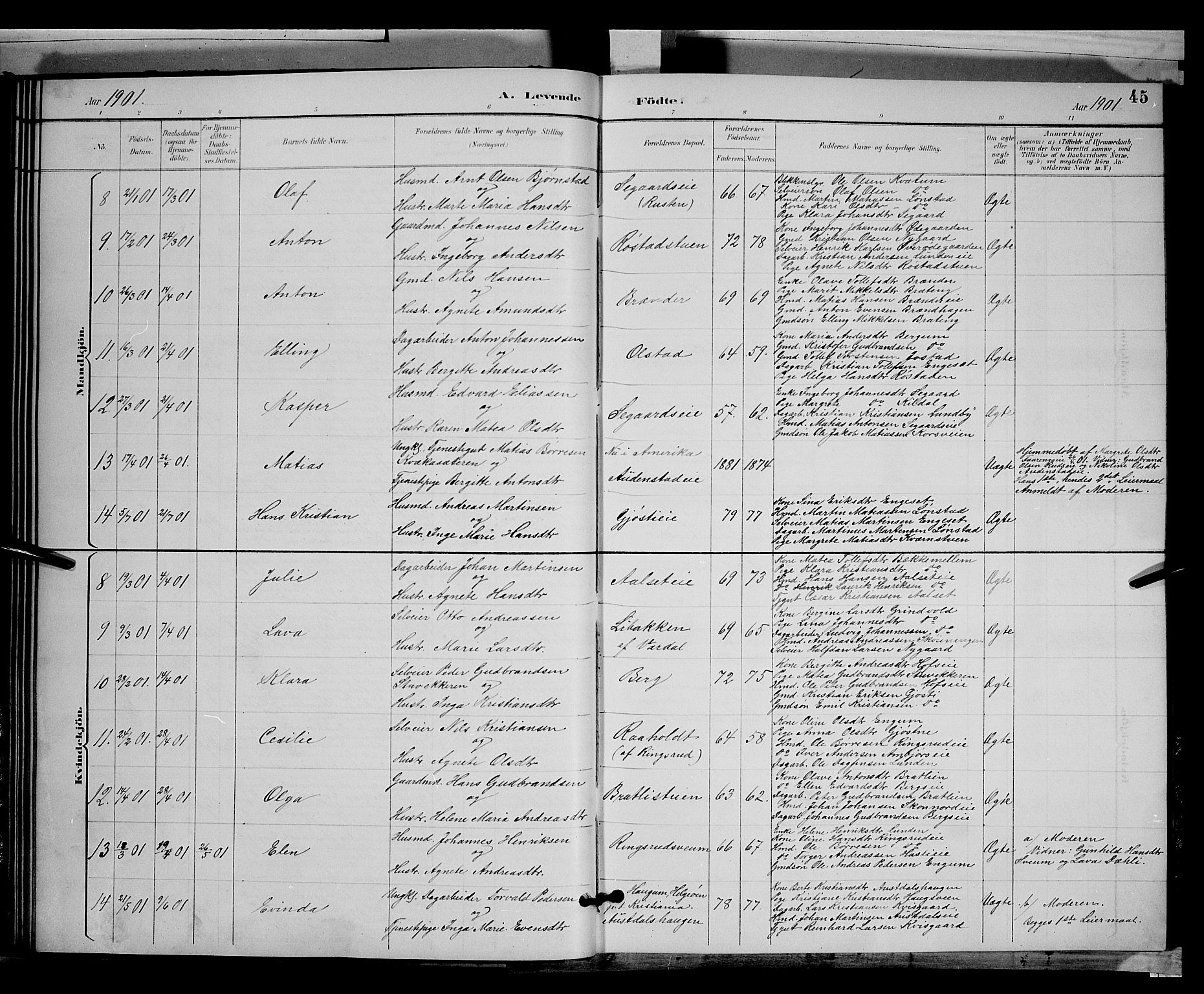 Biri prestekontor, SAH/PREST-096/H/Ha/Hab/L0003: Parish register (copy) no. 3, 1892-1905, p. 45